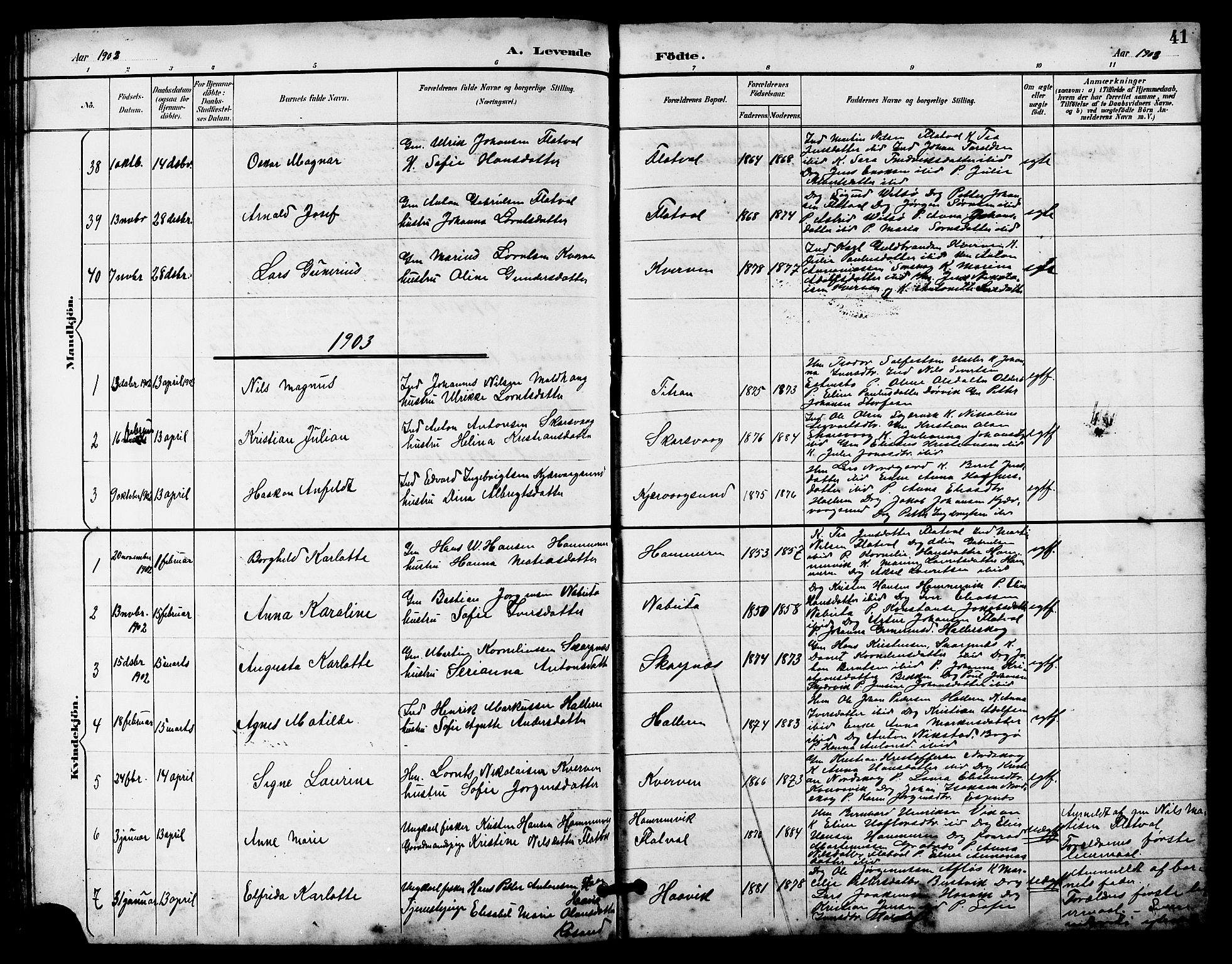 Ministerialprotokoller, klokkerbøker og fødselsregistre - Sør-Trøndelag, SAT/A-1456/641/L0598: Parish register (copy) no. 641C02, 1893-1910, p. 41