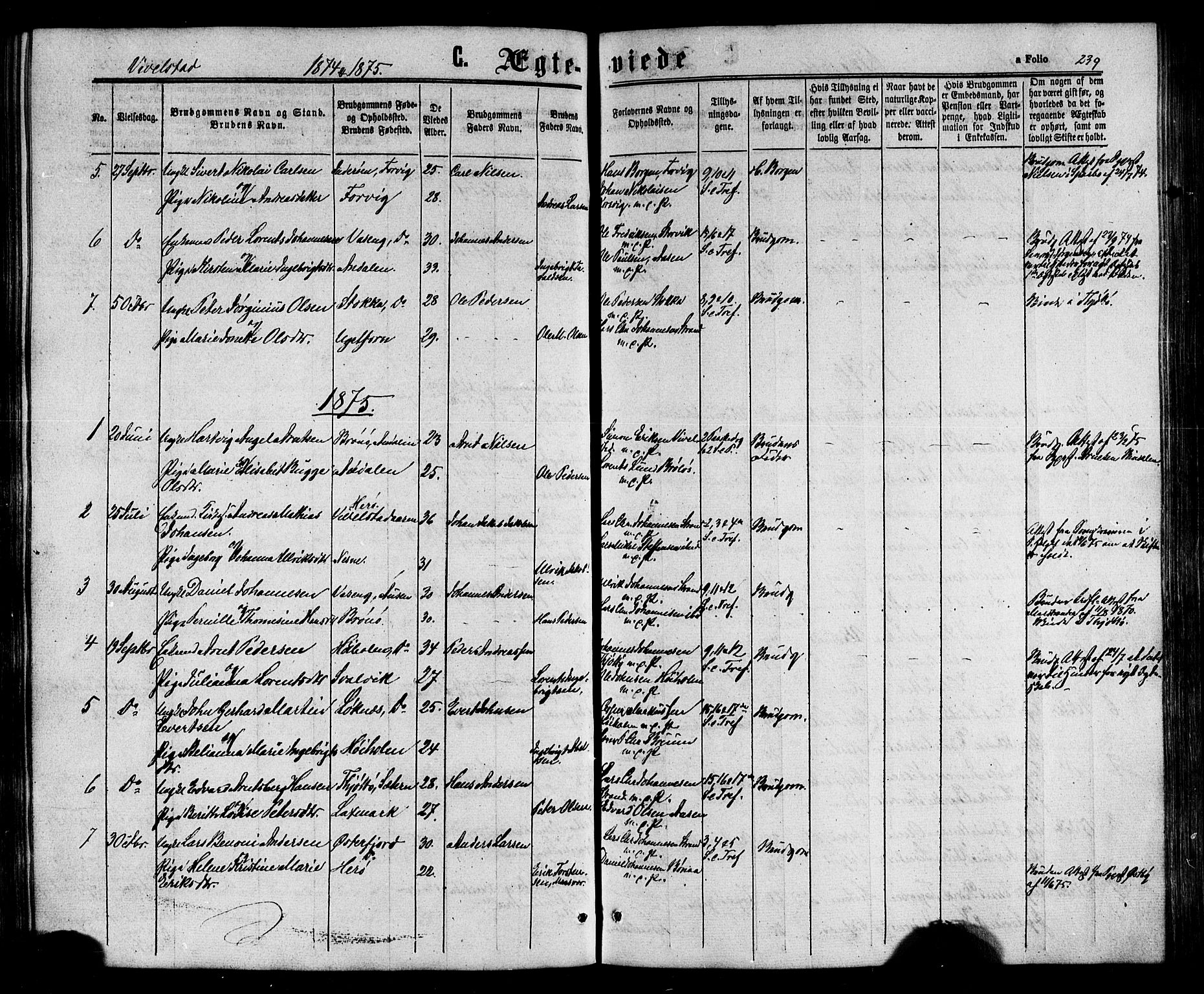 Ministerialprotokoller, klokkerbøker og fødselsregistre - Nordland, AV/SAT-A-1459/817/L0262: Parish register (official) no. 817A03 /2, 1867-1877, p. 239