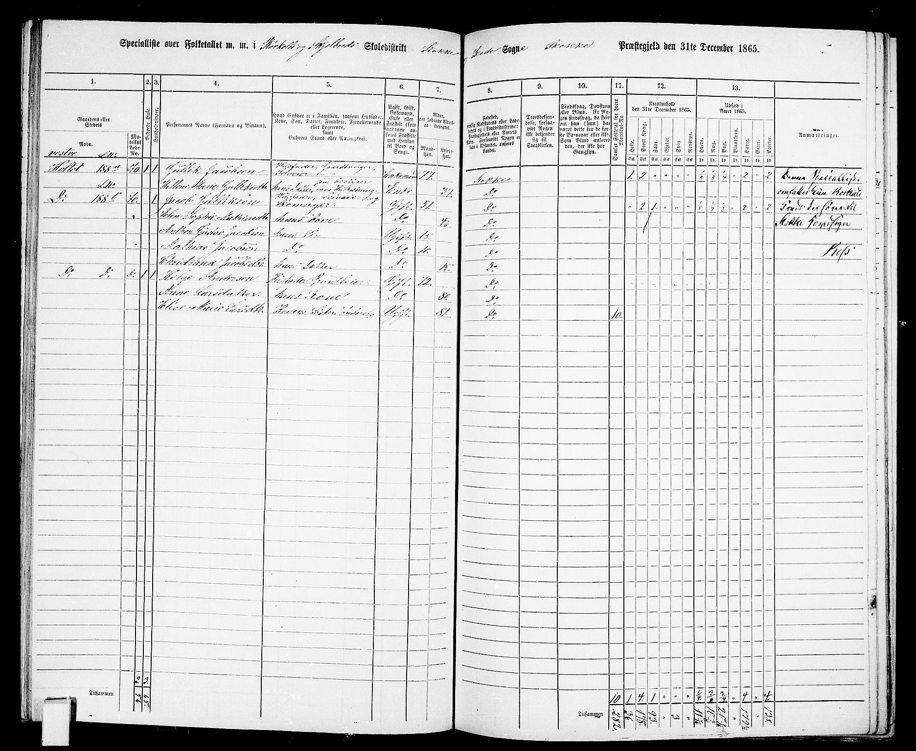 RA, 1865 census for Stokke, 1865, p. 115