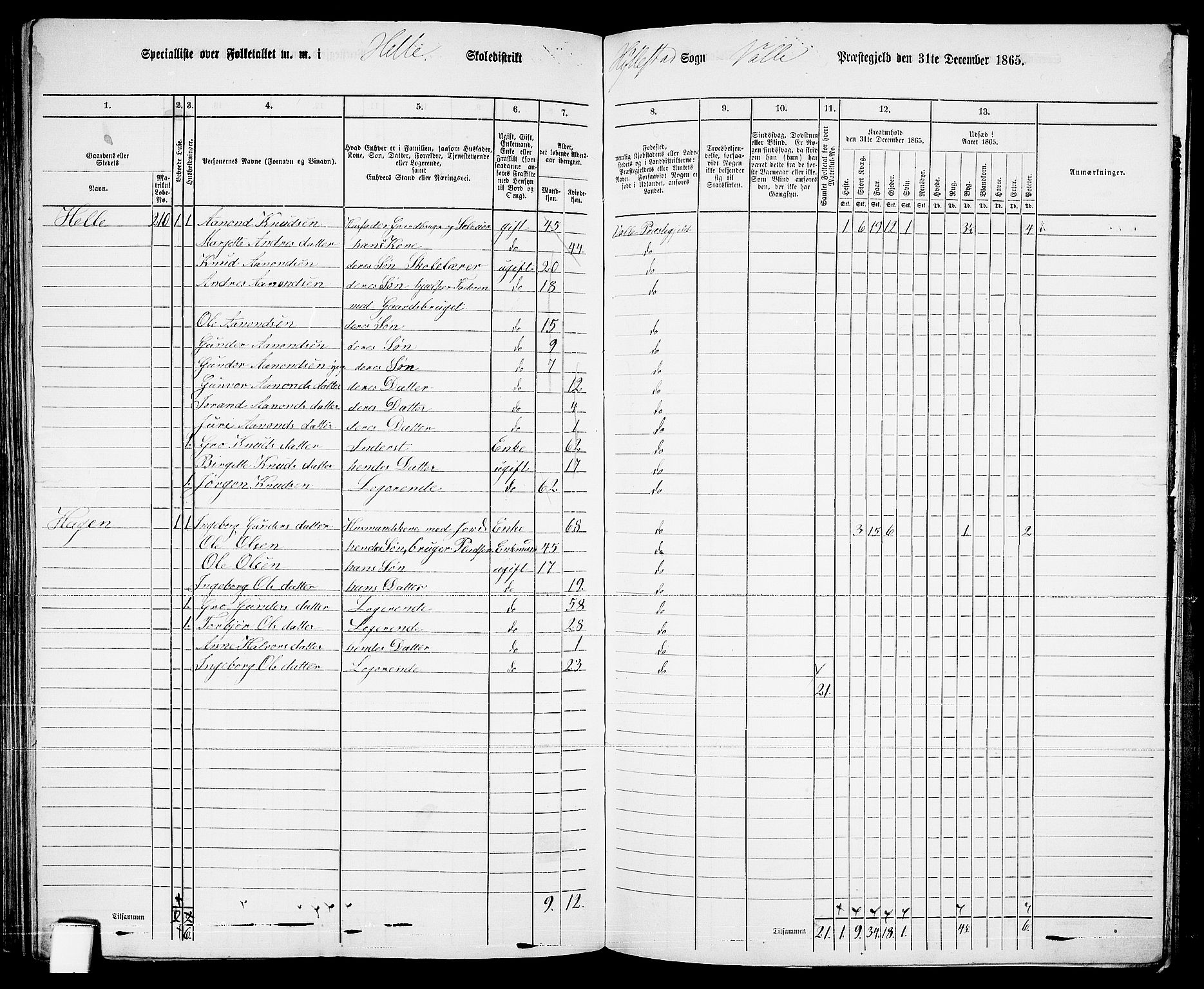 RA, 1865 census for Valle, 1865, p. 138