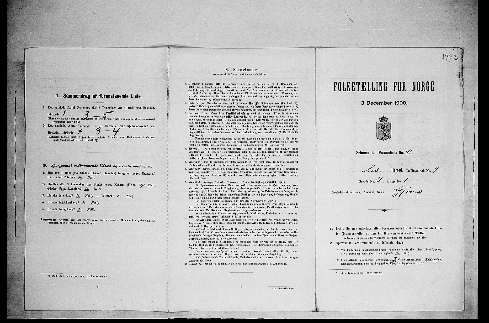 SAH, 1900 census for Nes, 1900, p. 630