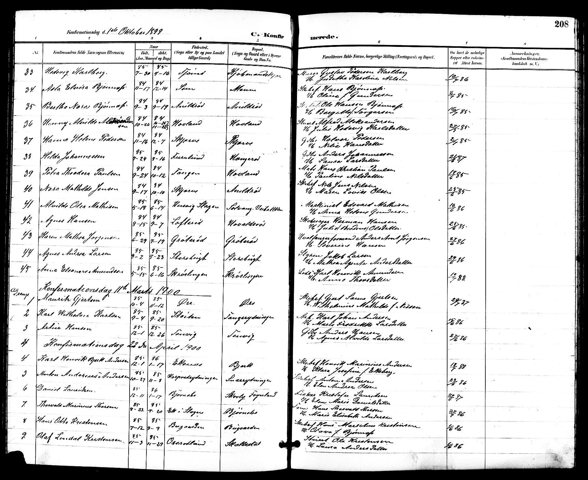 Nøtterøy kirkebøker, SAKO/A-354/G/Ga/L0004: Parish register (copy) no. I 4, 1894-1909, p. 208