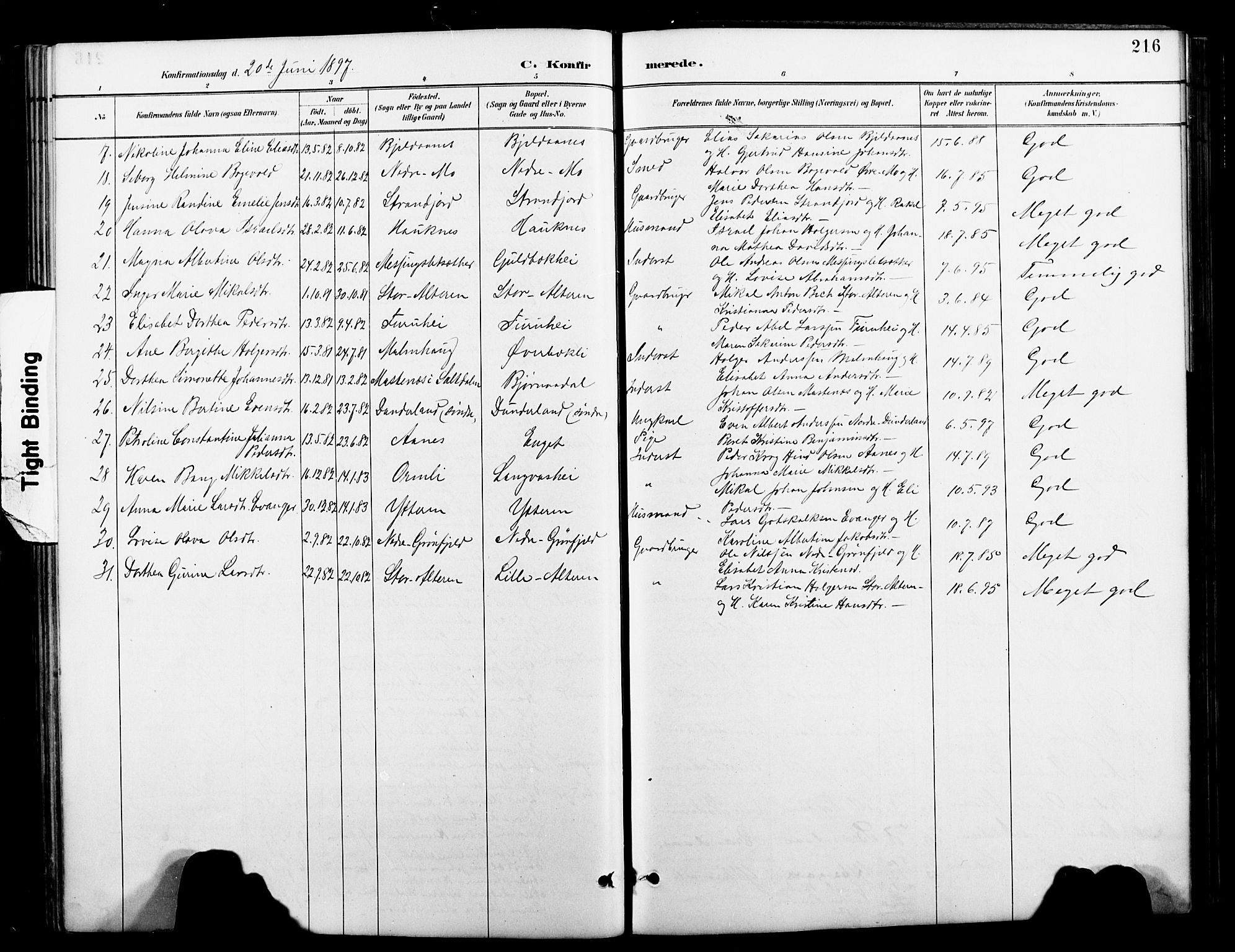 Ministerialprotokoller, klokkerbøker og fødselsregistre - Nordland, AV/SAT-A-1459/827/L0421: Parish register (copy) no. 827C10, 1887-1906, p. 216