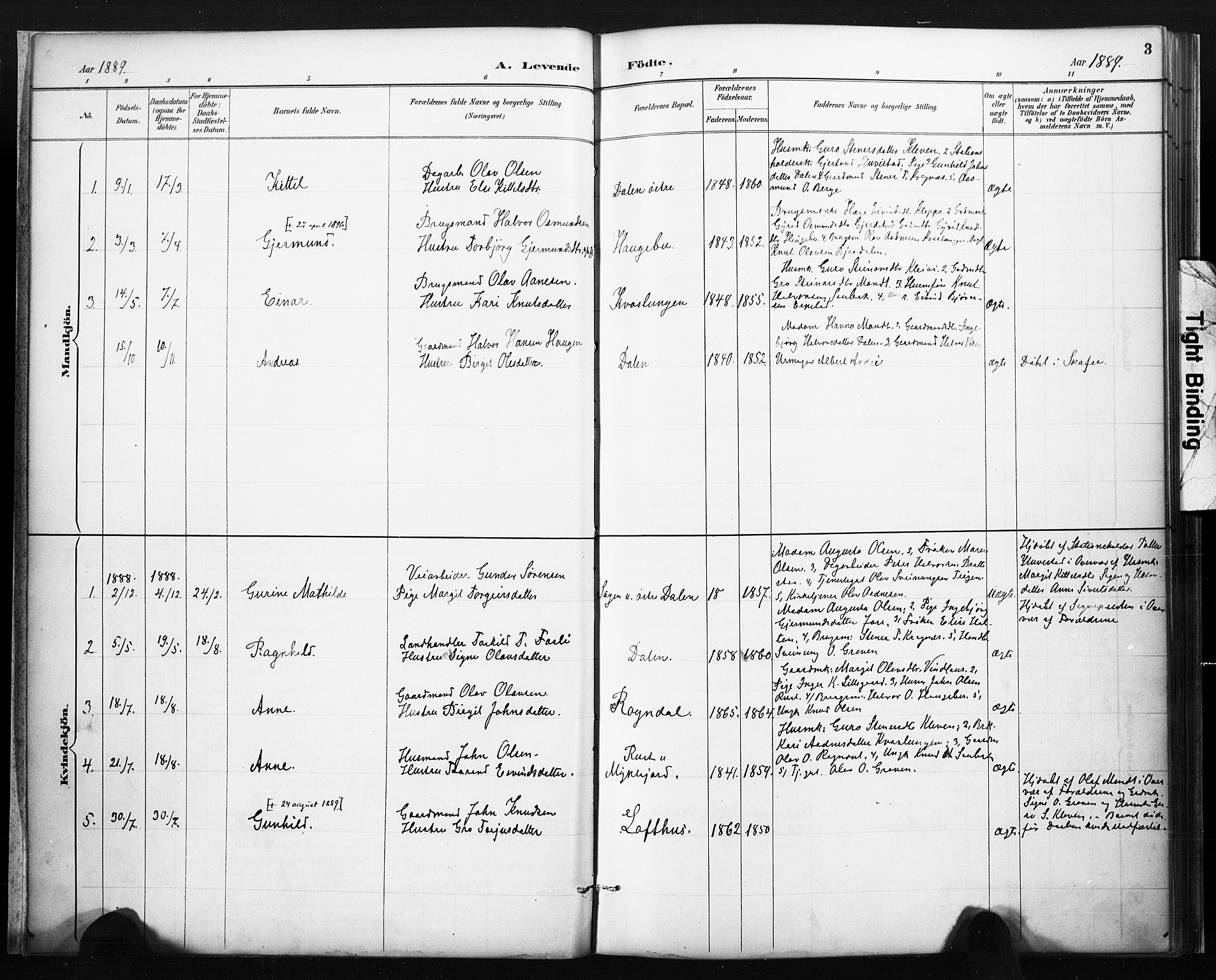 Lårdal kirkebøker, AV/SAKO-A-284/F/Fb/L0002: Parish register (official) no. II 2, 1887-1918, p. 3