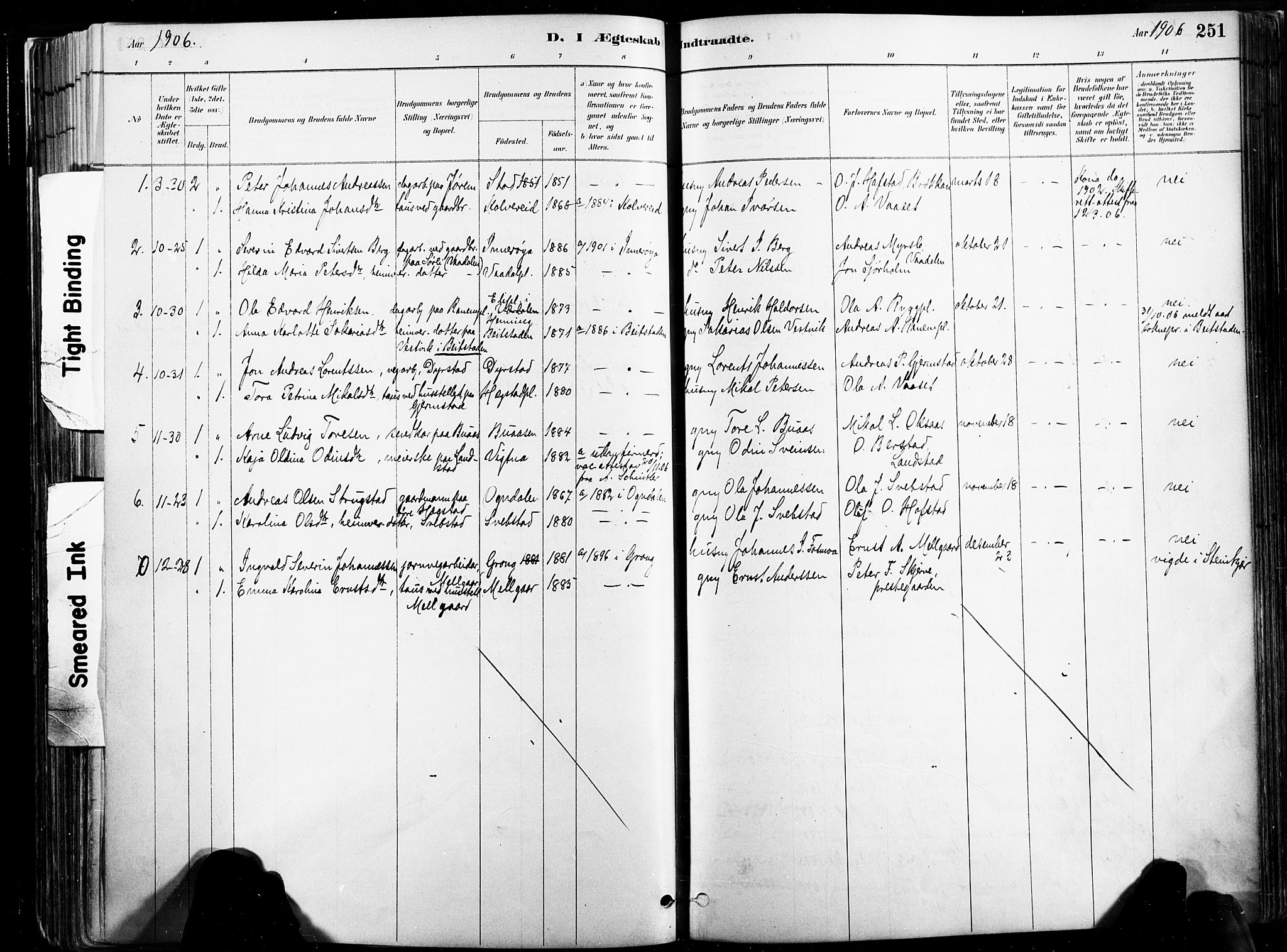 Ministerialprotokoller, klokkerbøker og fødselsregistre - Nord-Trøndelag, SAT/A-1458/735/L0351: Parish register (official) no. 735A10, 1884-1908, p. 251