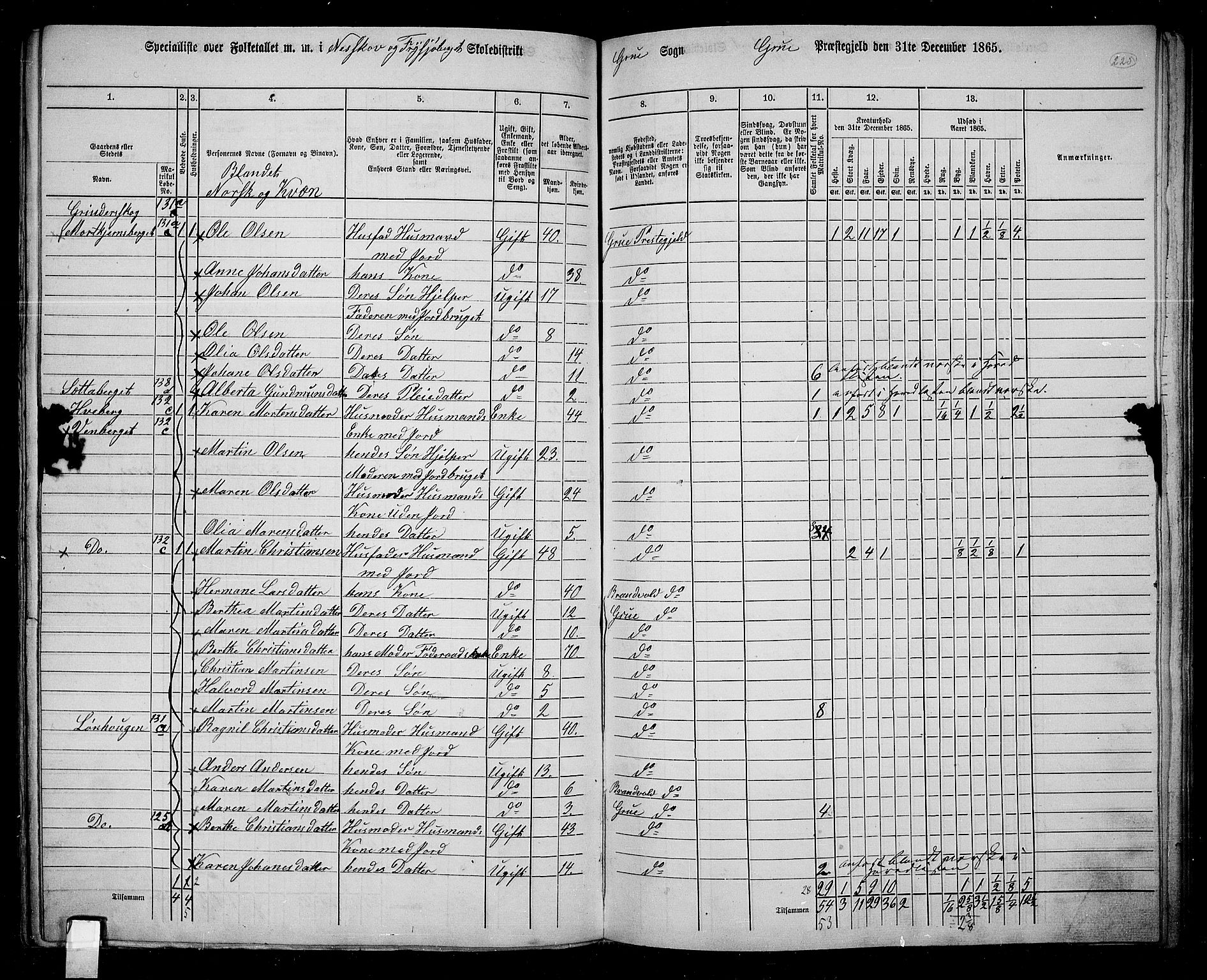 RA, 1865 census for Grue, 1865, p. 198