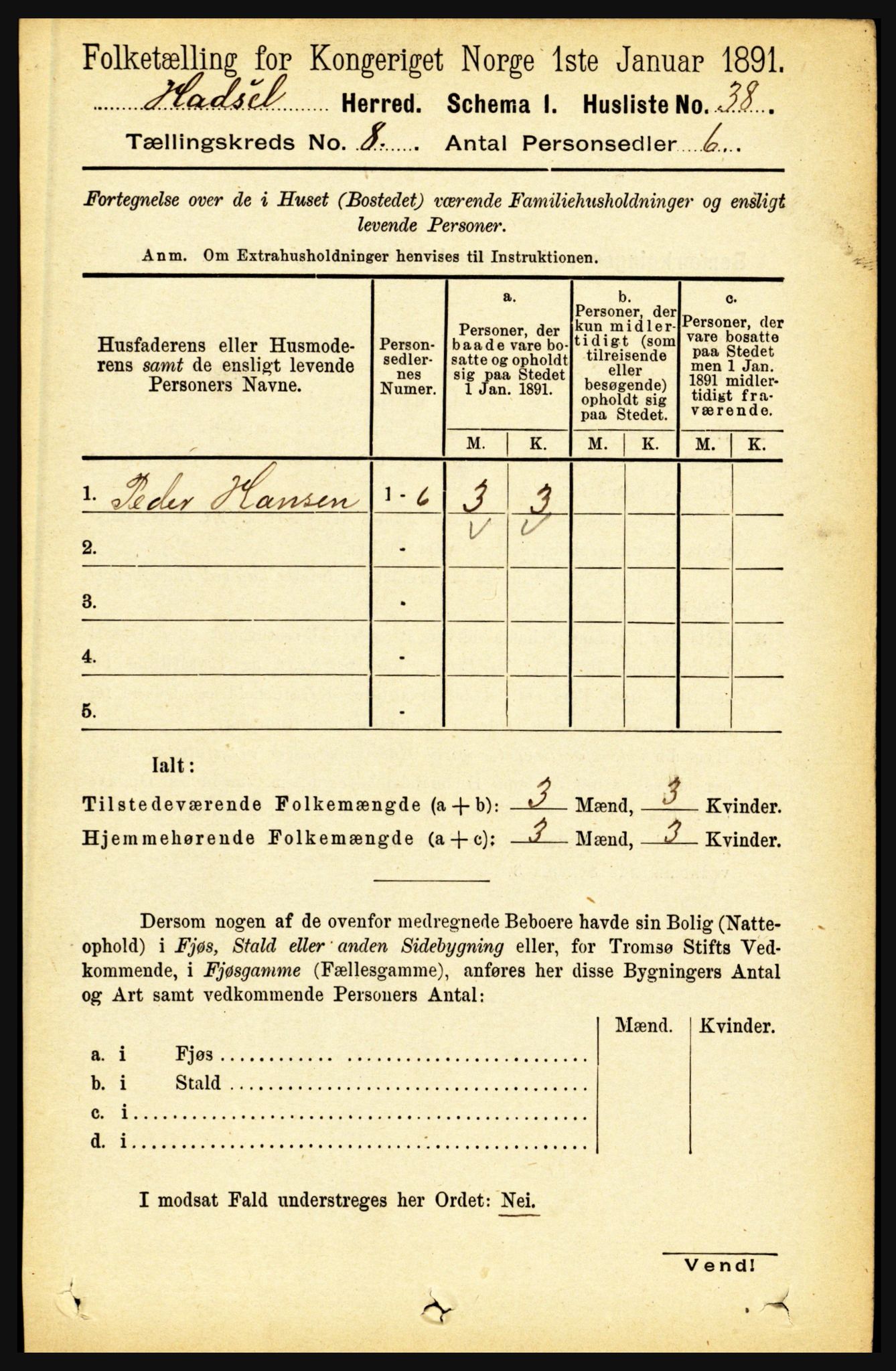 RA, 1891 census for 1866 Hadsel, 1891, p. 3569