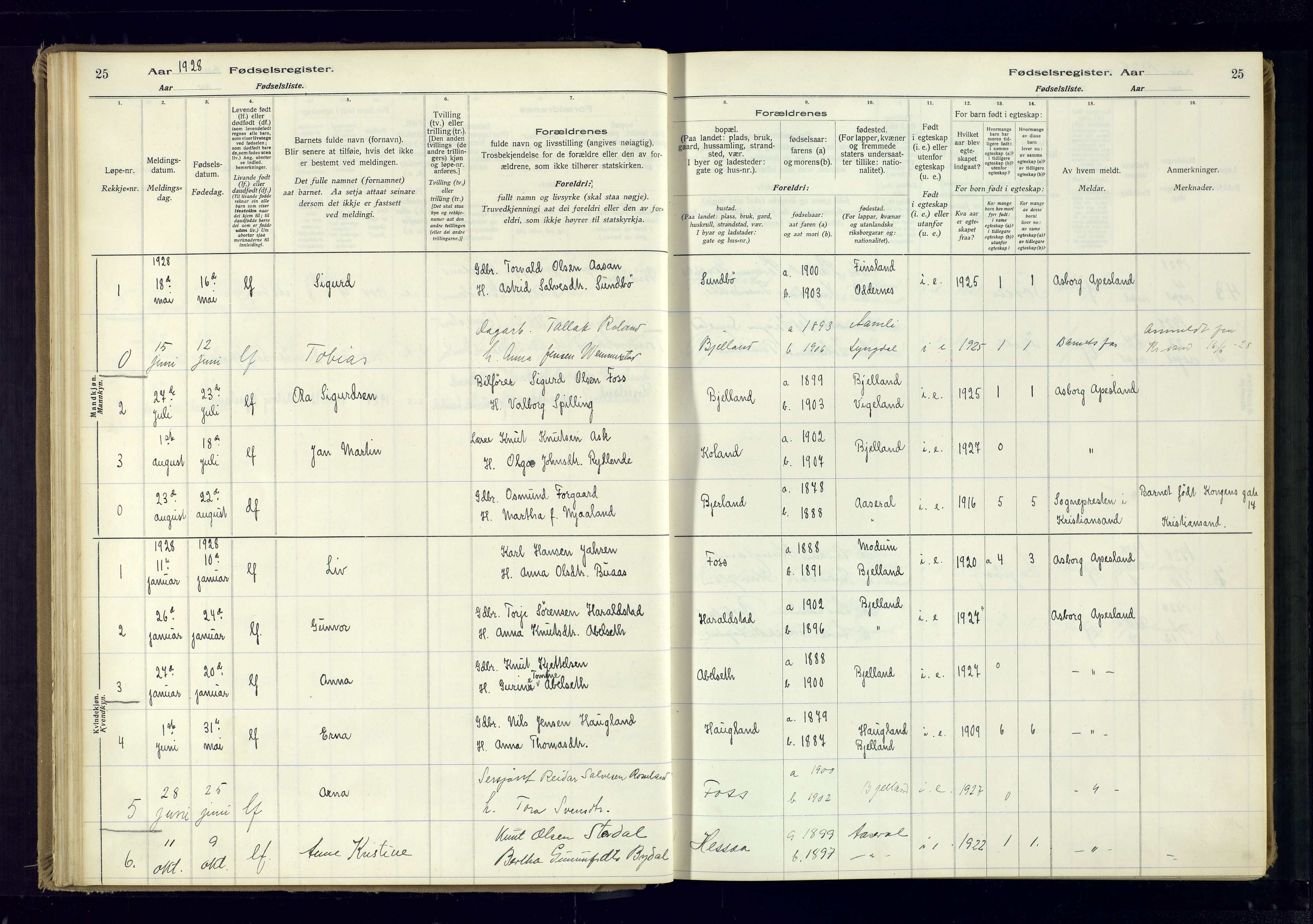 Bjelland sokneprestkontor, AV/SAK-1111-0005/J/Ja/L0001: Birth register no. II.4.2, 1916-1982, p. 25