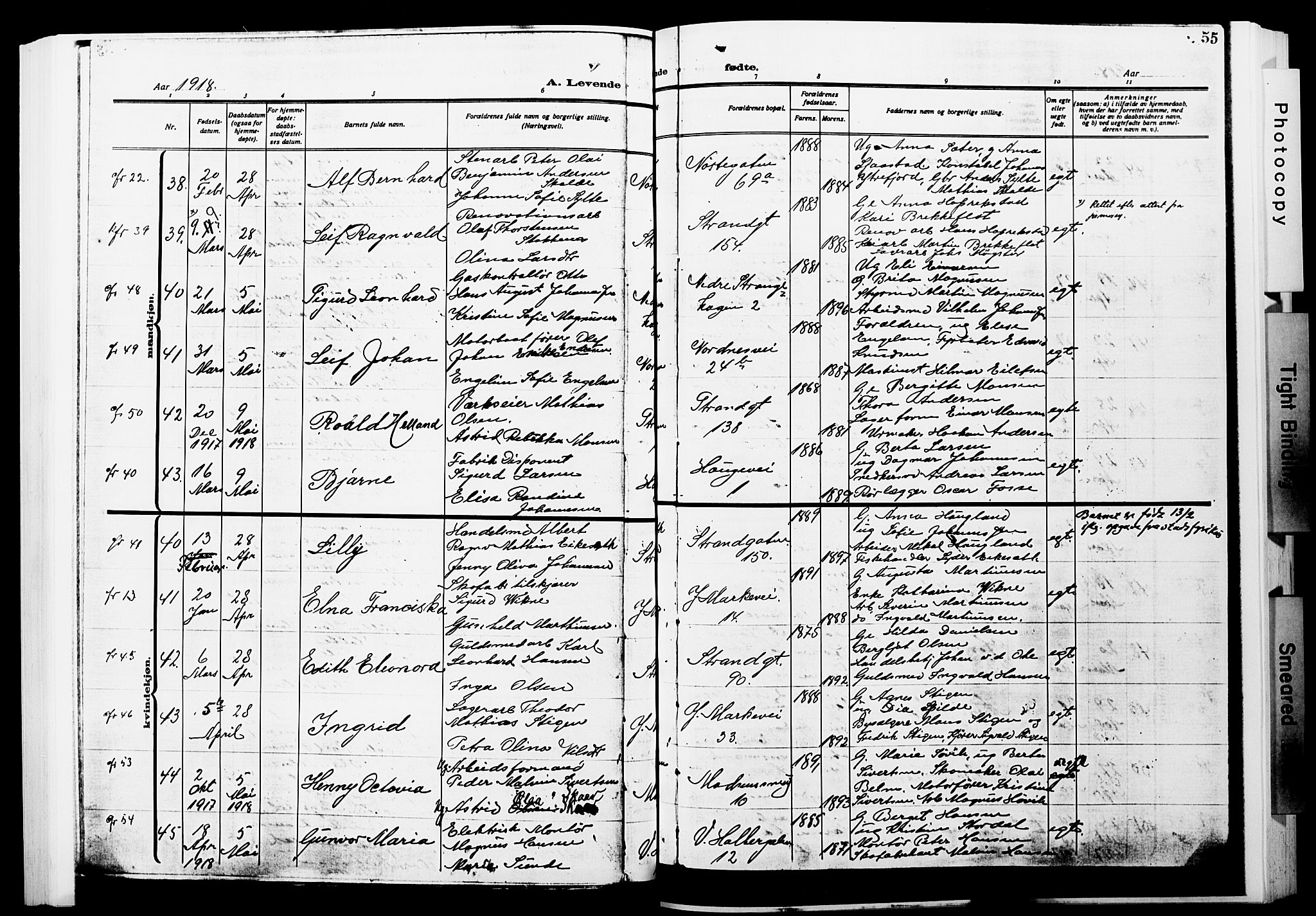 Nykirken Sokneprestembete, SAB/A-77101/H/Hab: Parish register (copy) no. B 7, 1916-1921, p. 55