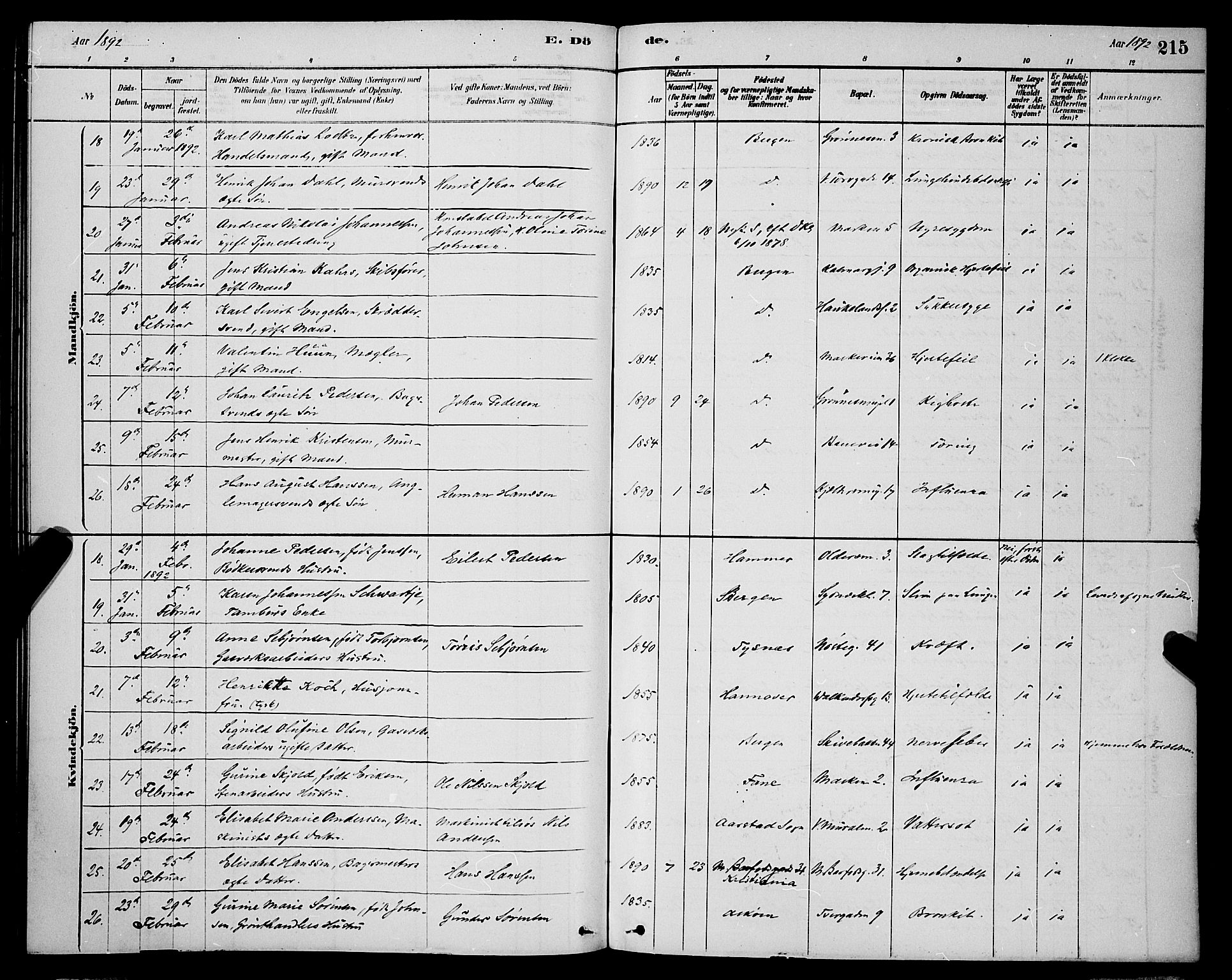 Domkirken sokneprestembete, AV/SAB-A-74801/H/Hab/L0041: Parish register (copy) no. E 5, 1878-1900, p. 215