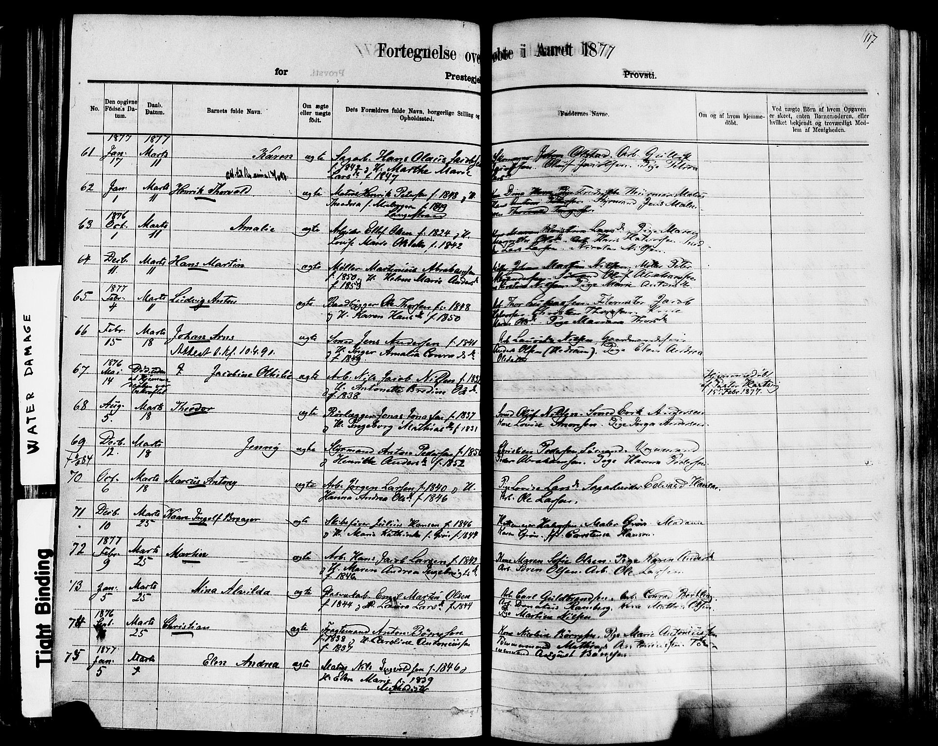 Larvik kirkebøker, AV/SAKO-A-352/F/Fa/L0006: Parish register (official) no. I 6, 1871-1883, p. 117