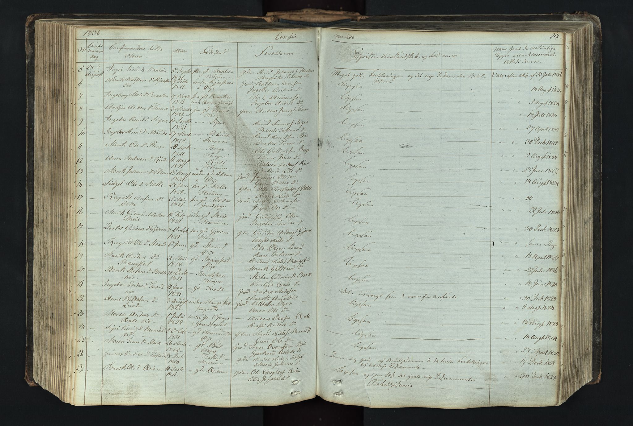 Vang prestekontor, Valdres, SAH/PREST-140/H/Hb/L0004: Parish register (copy) no. 4, 1835-1892, p. 217