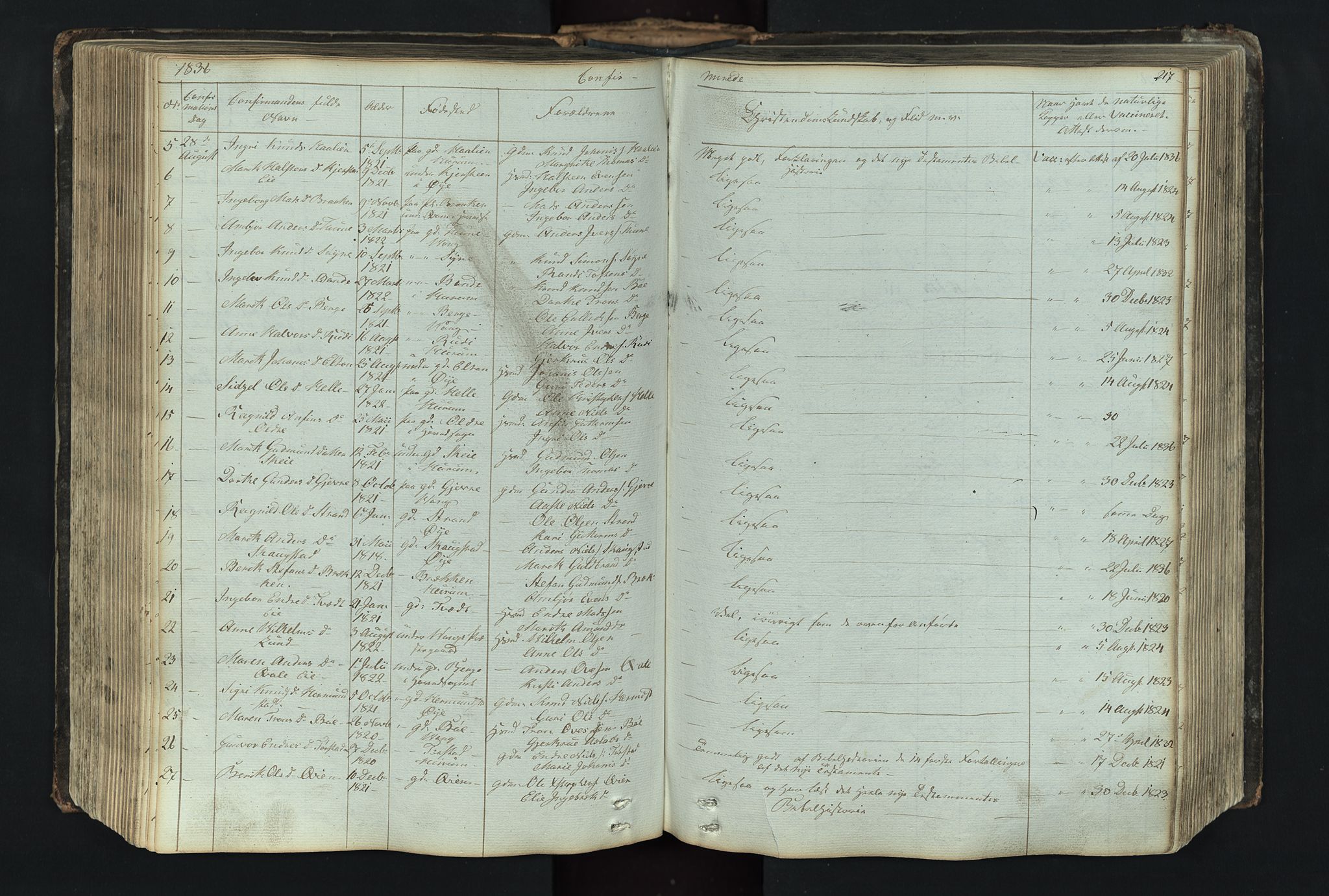 Vang prestekontor, Valdres, AV/SAH-PREST-140/H/Hb/L0004: Parish register (copy) no. 4, 1835-1892, p. 217