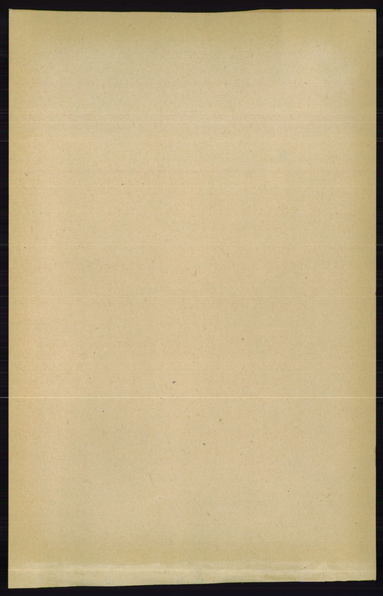 RA, 1891 census for 0833 Lårdal, 1891, p. 599