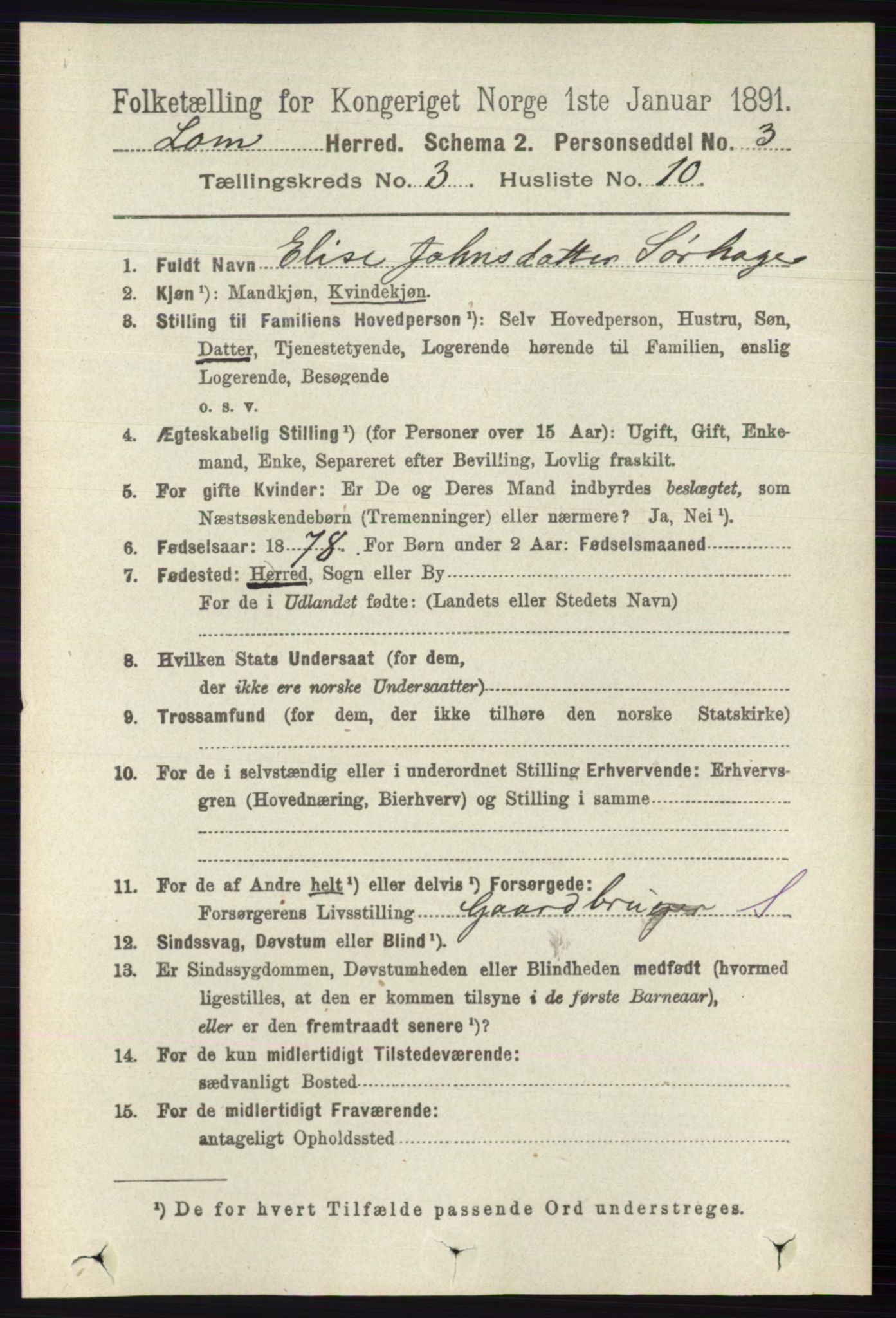 RA, 1891 census for 0514 Lom, 1891, p. 1308