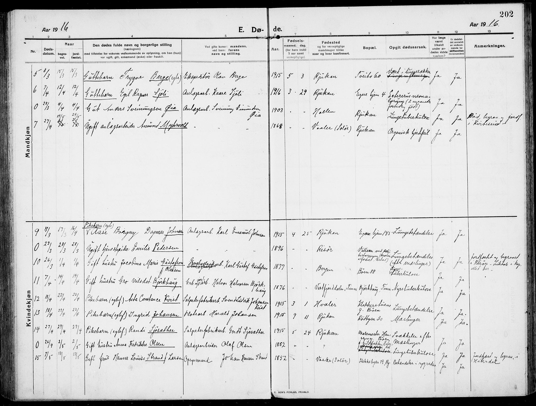 Rjukan kirkebøker, SAKO/A-294/F/Fa/L0002: Parish register (official) no. 2, 1912-1917, p. 202
