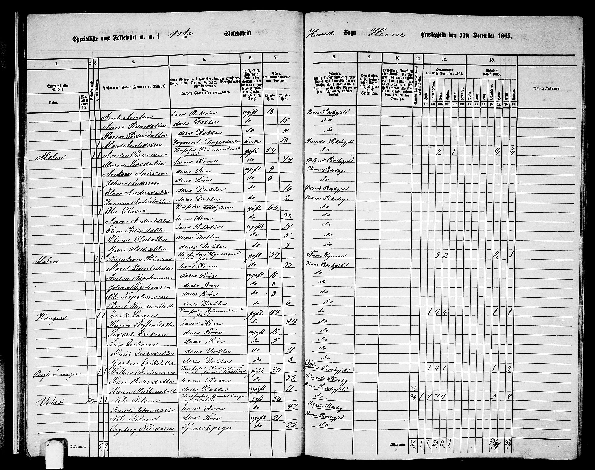 RA, 1865 census for Hemne, 1865, p. 30