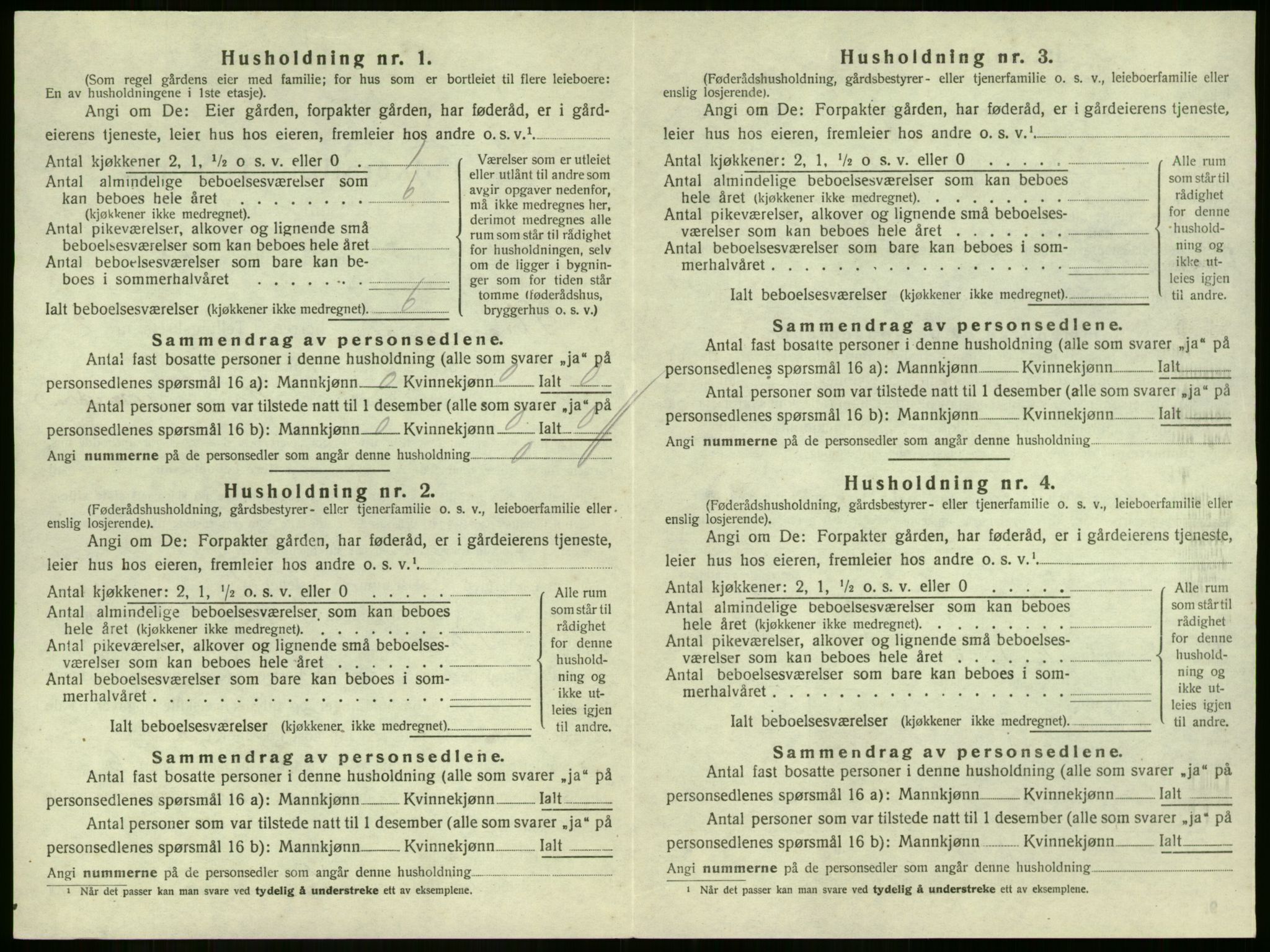 SAKO, 1920 census for Strømm, 1920, p. 226