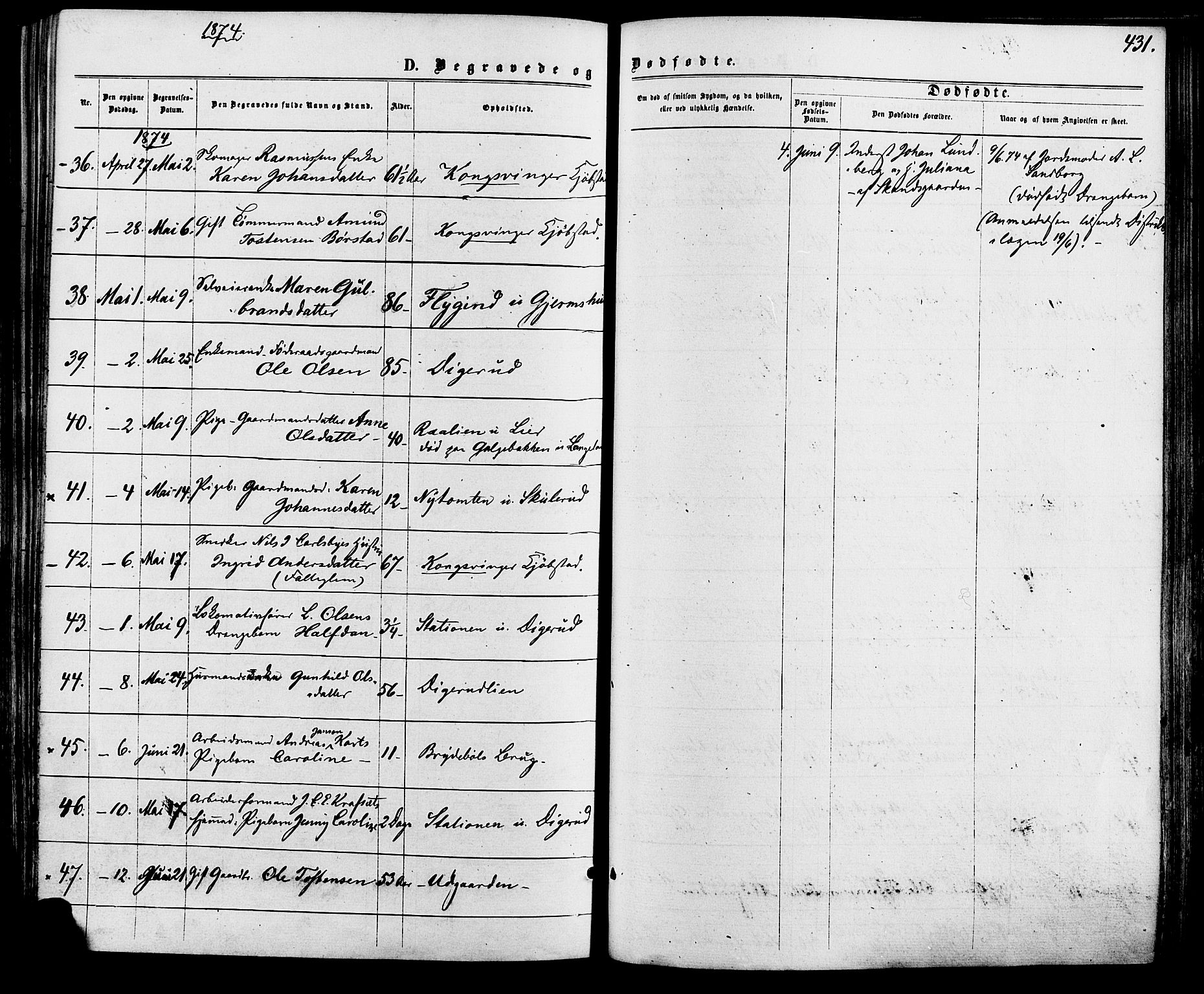 Vinger prestekontor, AV/SAH-PREST-024/H/Ha/Haa/L0012: Parish register (official) no. 12, 1871-1880, p. 431