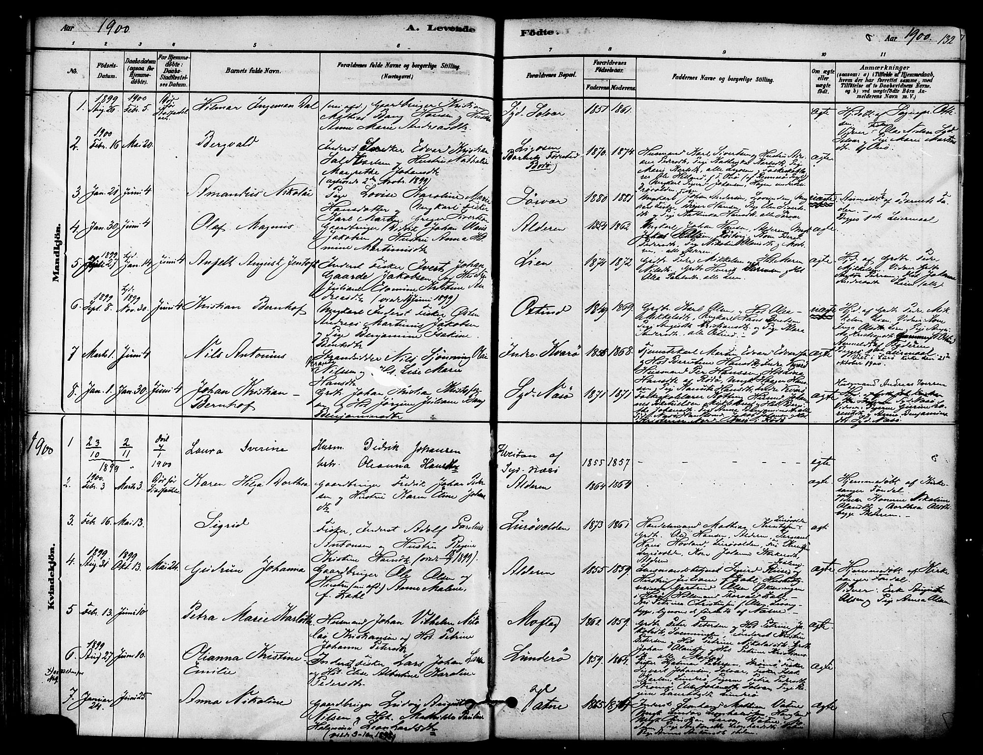 Ministerialprotokoller, klokkerbøker og fødselsregistre - Nordland, SAT/A-1459/839/L0568: Parish register (official) no. 839A05, 1880-1902, p. 132