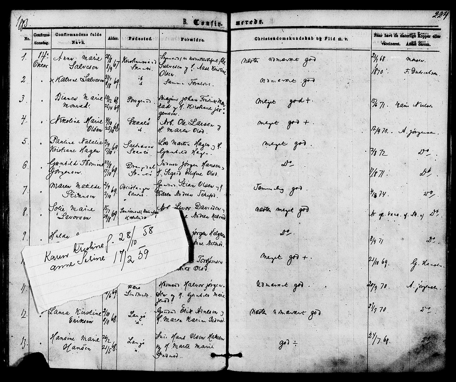 Skåtøy kirkebøker, AV/SAKO-A-304/F/Fa/L0001: Parish register (official) no. I 1, 1874-1883, p. 224