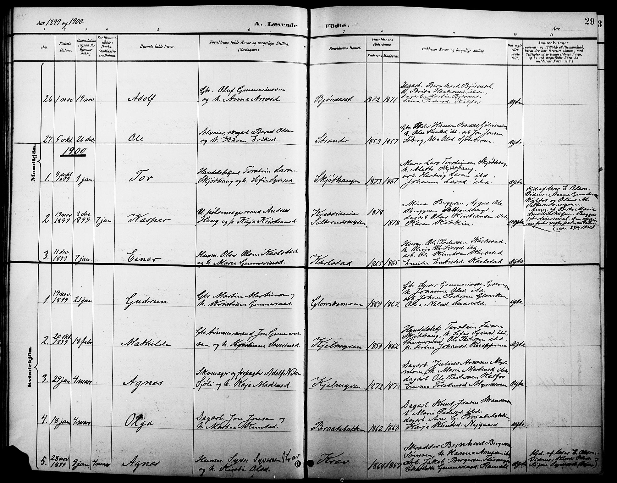 Åsnes prestekontor, SAH/PREST-042/H/Ha/Hab/L0005: Parish register (copy) no. 5, 1895-1920, p. 29
