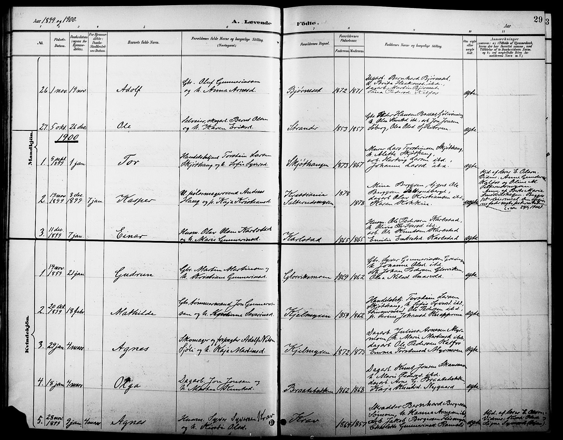 Åsnes prestekontor, AV/SAH-PREST-042/H/Ha/Hab/L0005: Parish register (copy) no. 5, 1895-1920, p. 29