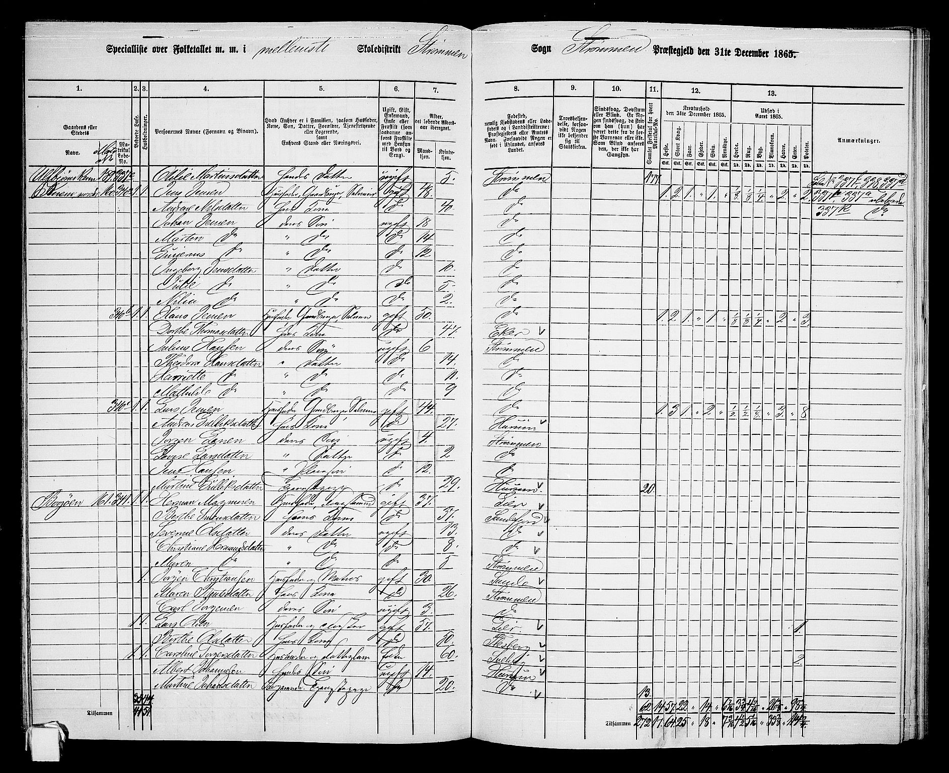 RA, 1865 census for Strømm, 1865, p. 24