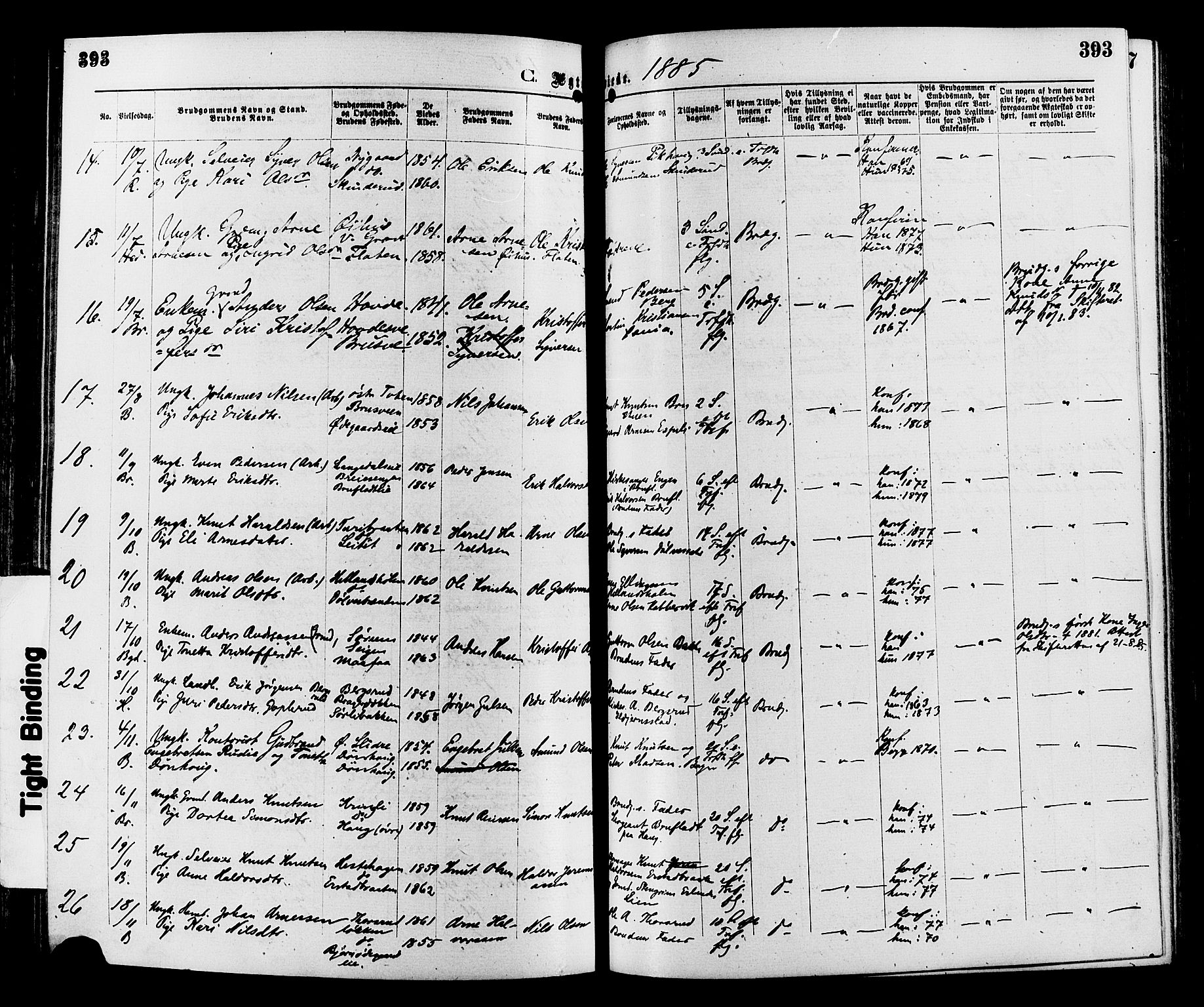 Sør-Aurdal prestekontor, AV/SAH-PREST-128/H/Ha/Haa/L0008: Parish register (official) no. 8, 1877-1885, p. 393