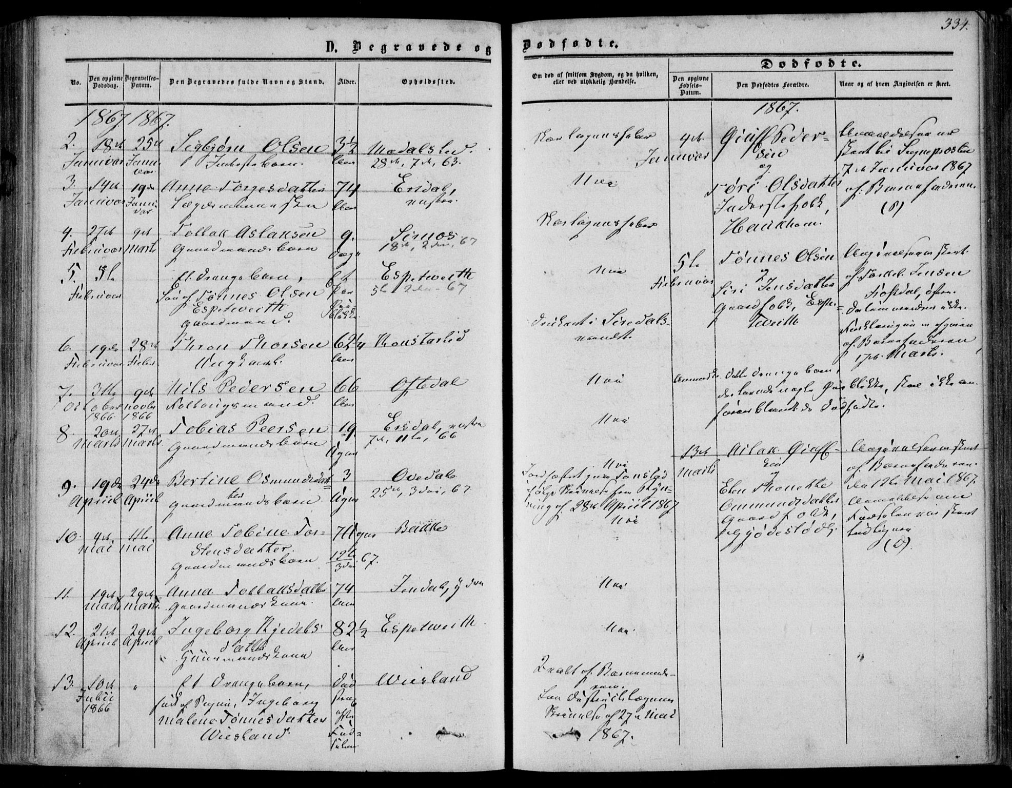 Bakke sokneprestkontor, AV/SAK-1111-0002/F/Fa/Faa/L0006: Parish register (official) no. A 6, 1855-1877, p. 334