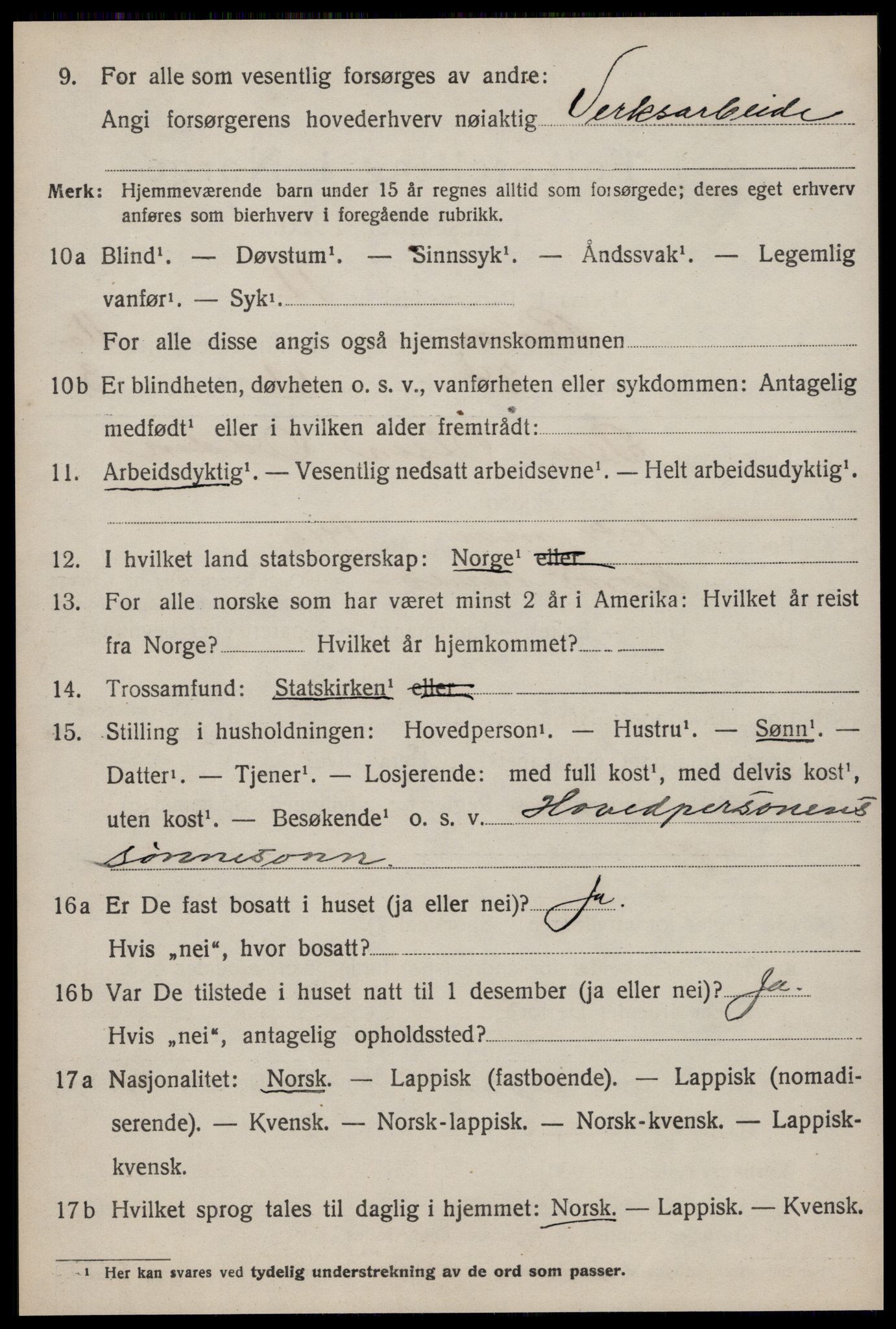 SAT, 1920 census for Røros, 1920, p. 11293