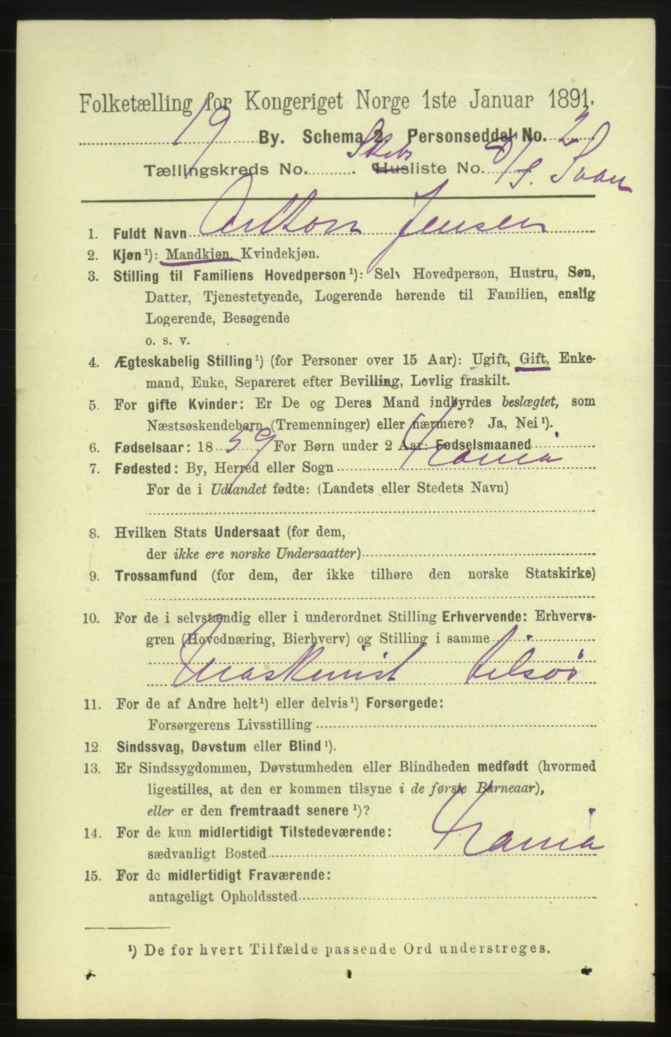 RA, 1891 census for 0702 Holmestrand, 1891, p. 2981