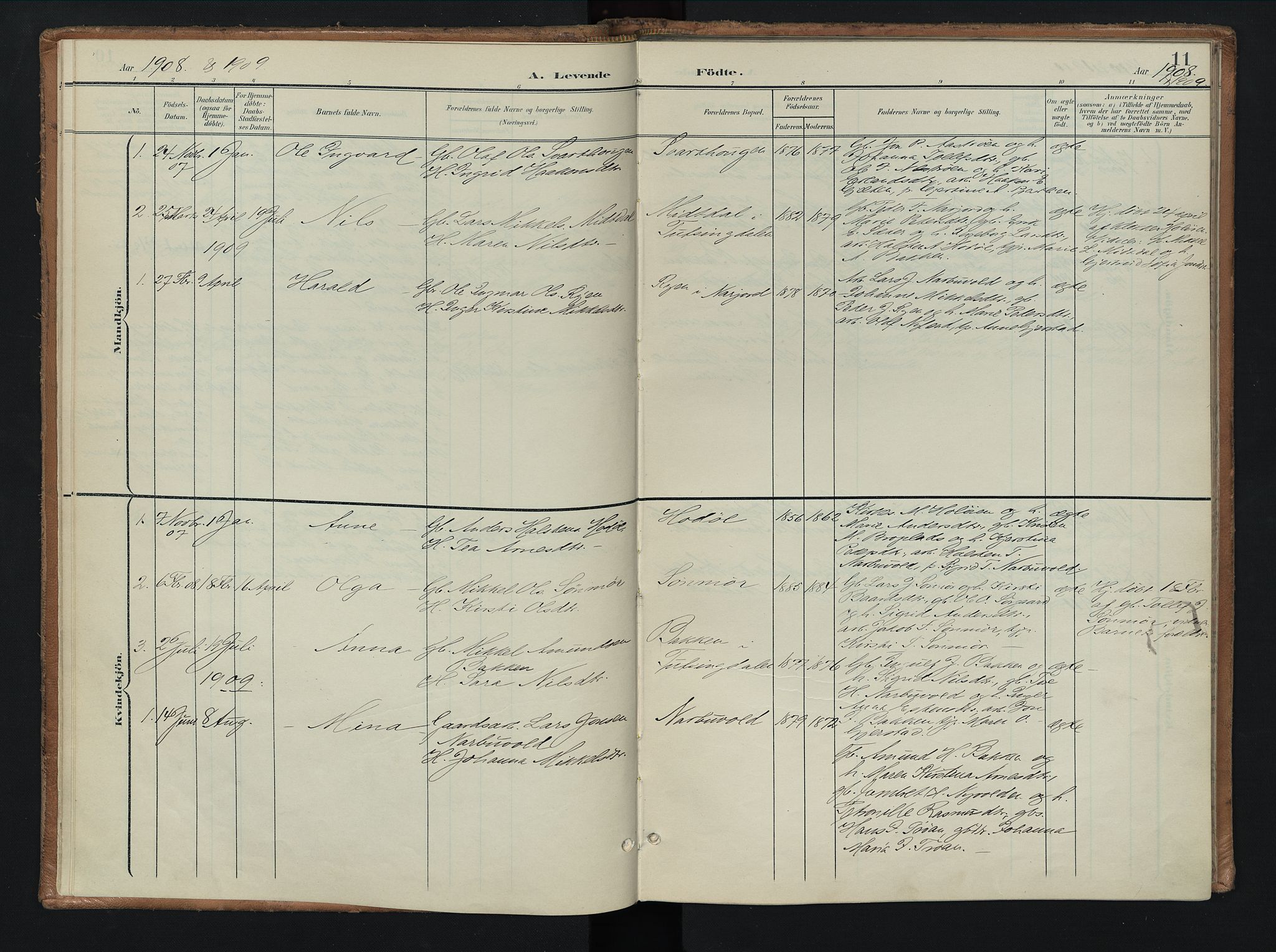 Tolga prestekontor, AV/SAH-PREST-062/K/L0010: Parish register (official) no. 10, 1901-1915, p. 11