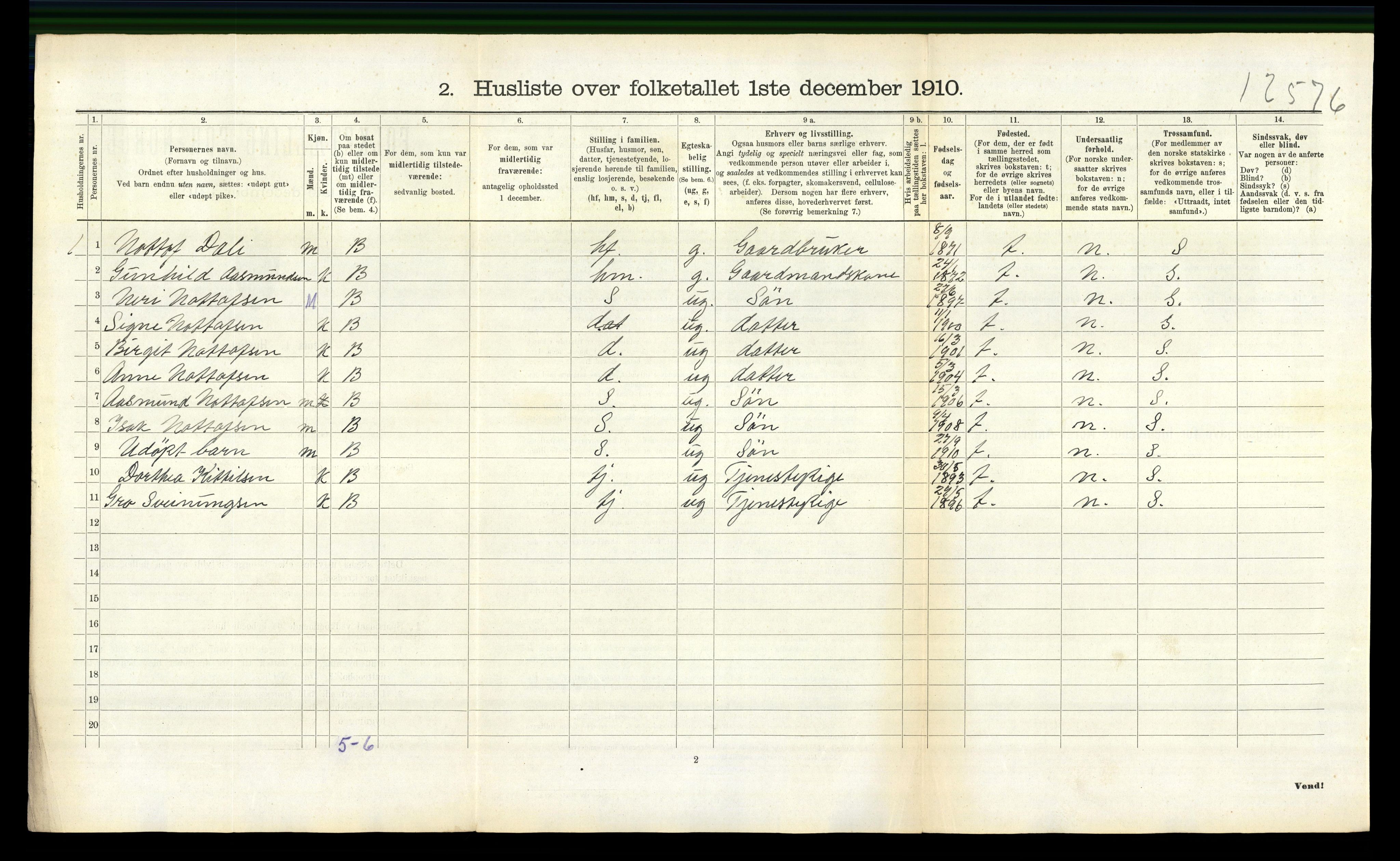 RA, 1910 census for Nissedal, 1910, p. 217