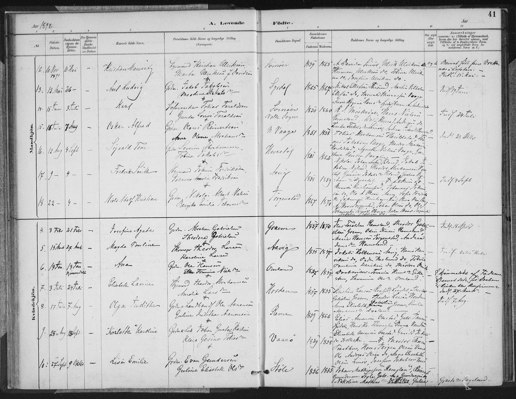 Sør-Audnedal sokneprestkontor, AV/SAK-1111-0039/F/Fa/Faa/L0004: Parish register (official) no. A 4, 1884-1909, p. 41