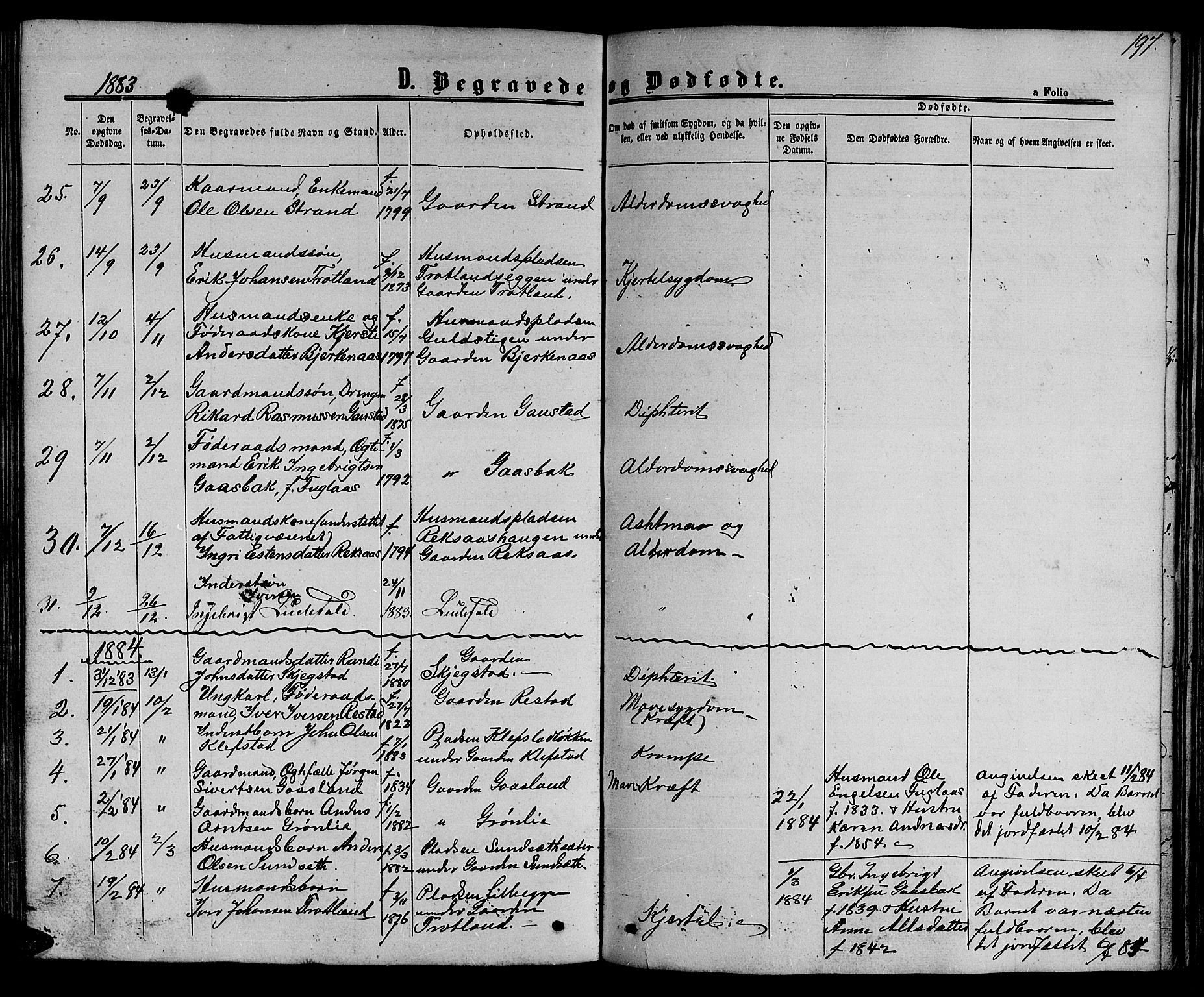 Ministerialprotokoller, klokkerbøker og fødselsregistre - Sør-Trøndelag, SAT/A-1456/694/L1131: Parish register (copy) no. 694C03, 1858-1886, p. 197