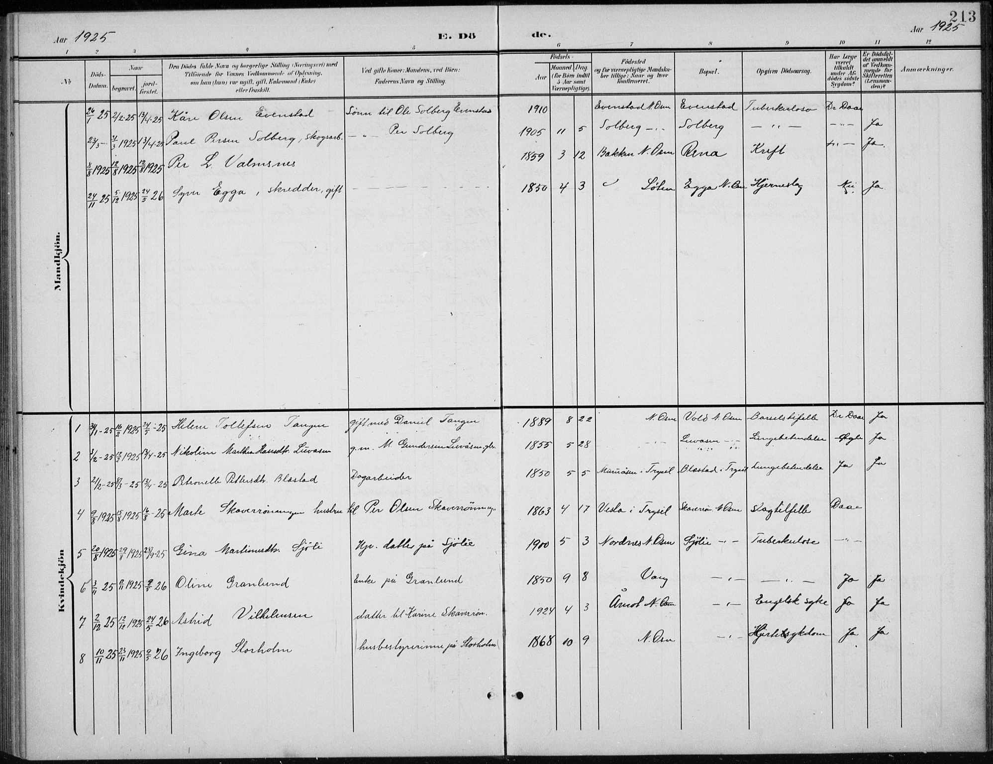 Åmot prestekontor, Hedmark, AV/SAH-PREST-056/H/Ha/Hab/L0003: Parish register (copy) no. 3, 1902-1938, p. 213