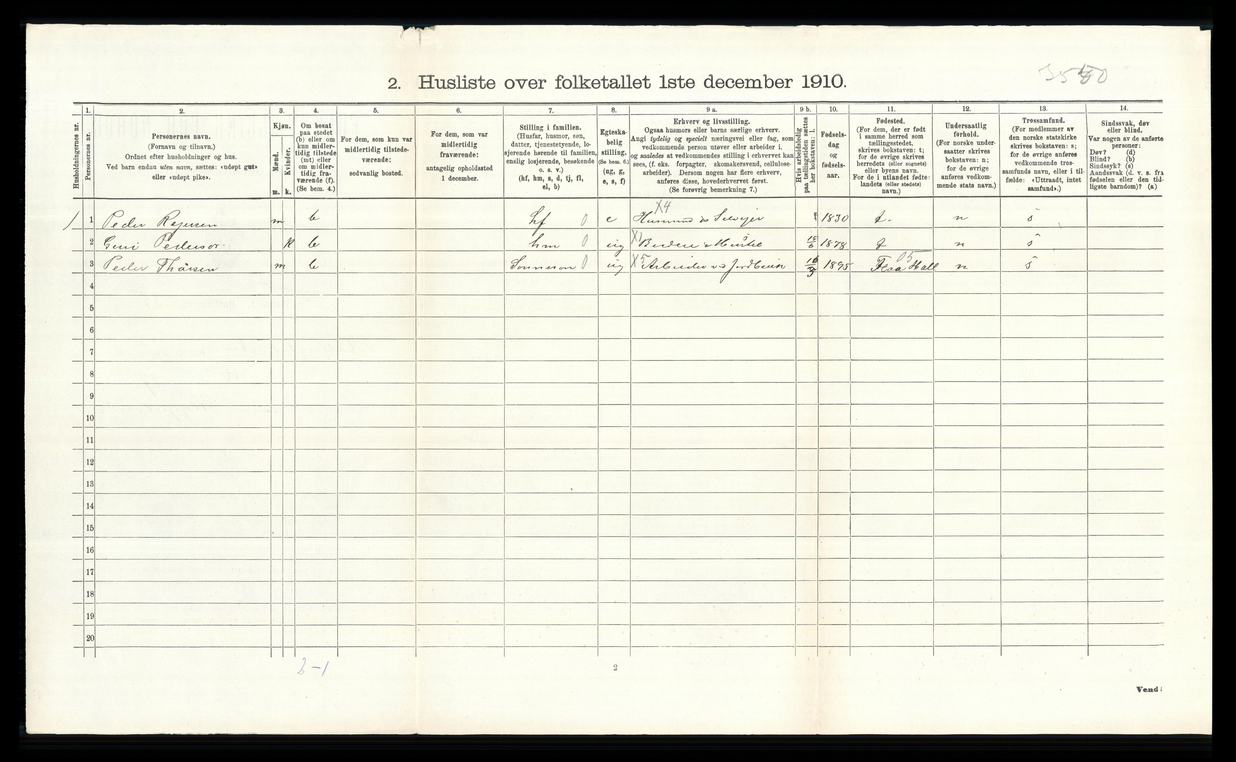 RA, 1910 census for Nes, 1910, p. 219