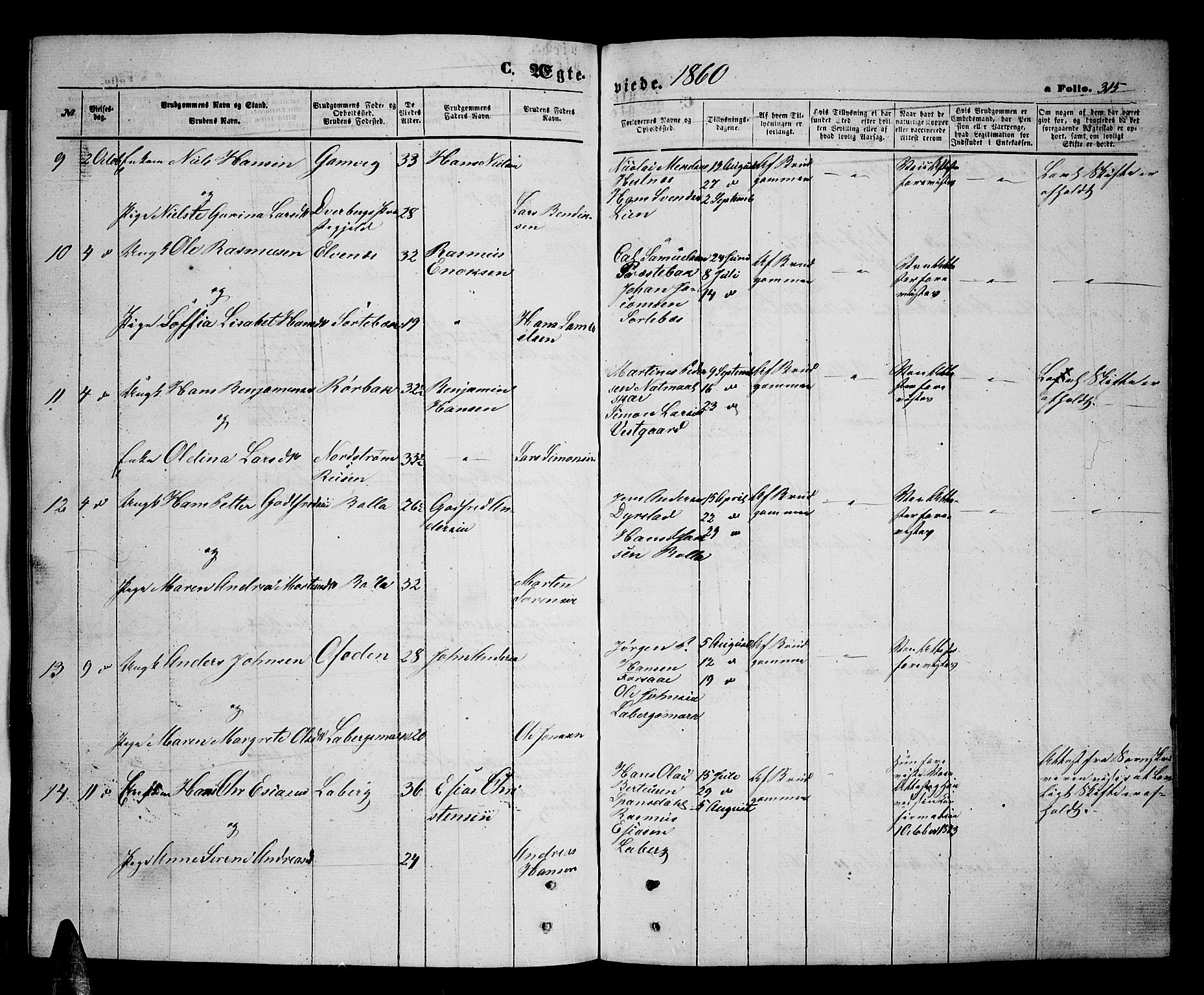 Ibestad sokneprestembete, SATØ/S-0077/H/Ha/Hab/L0005klokker: Parish register (copy) no. 5, 1860-1871, p. 315