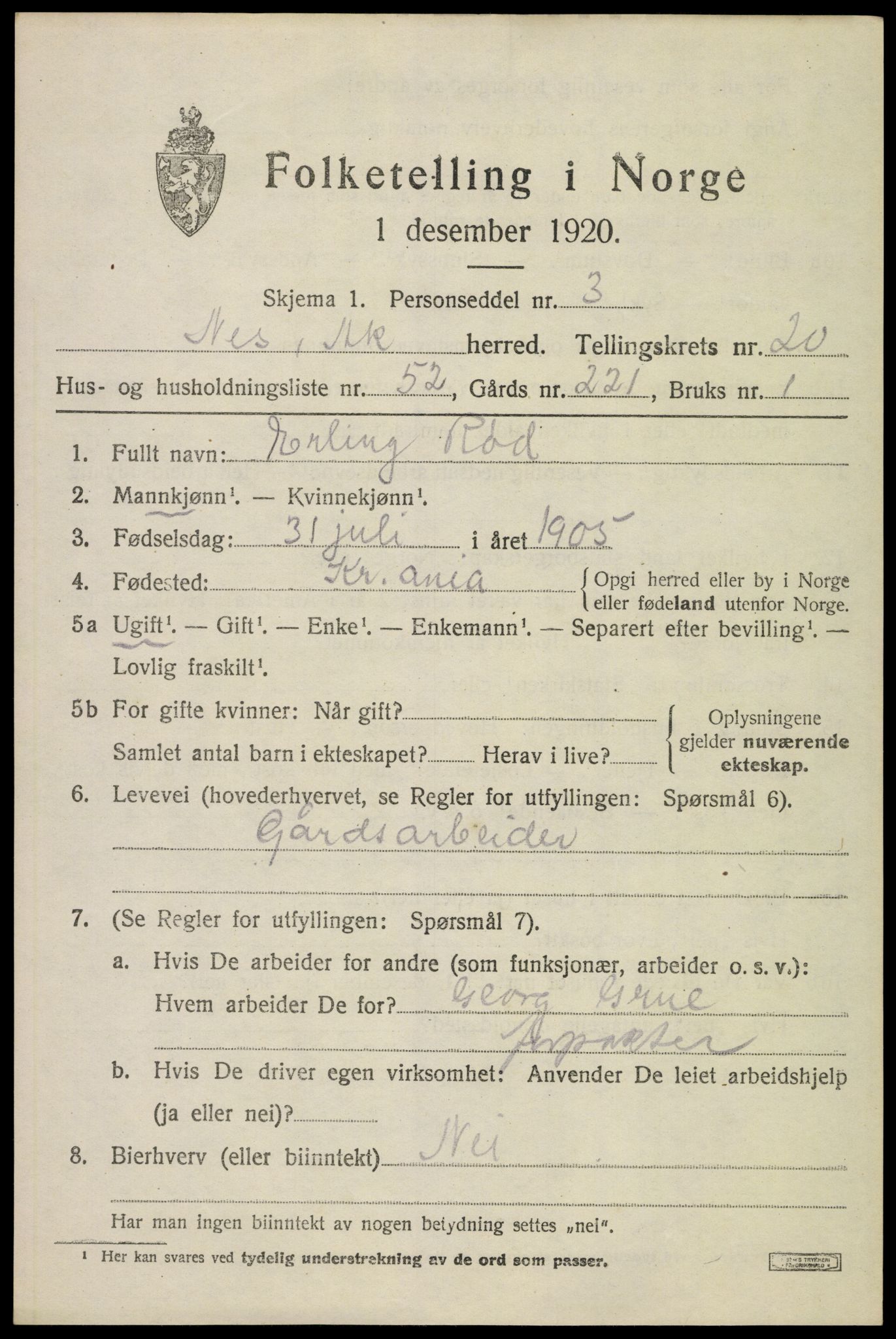 SAO, 1920 census for Nes, 1920, p. 21924