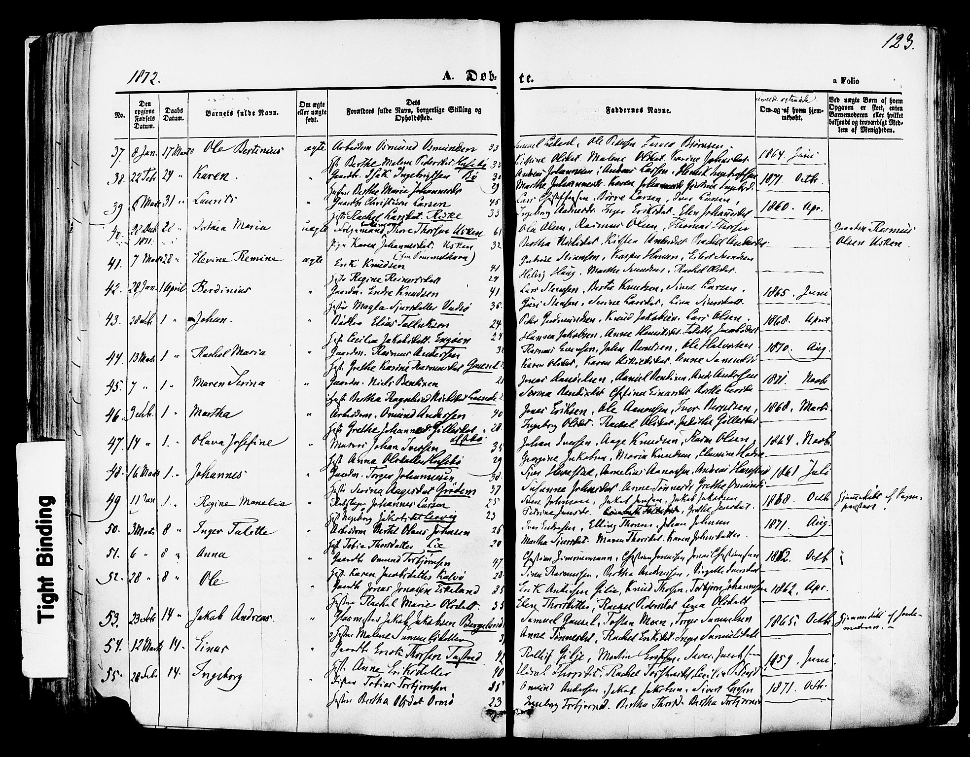 Hetland sokneprestkontor, SAST/A-101826/30/30BA/L0003: Parish register (official) no. A 3, 1862-1876, p. 123