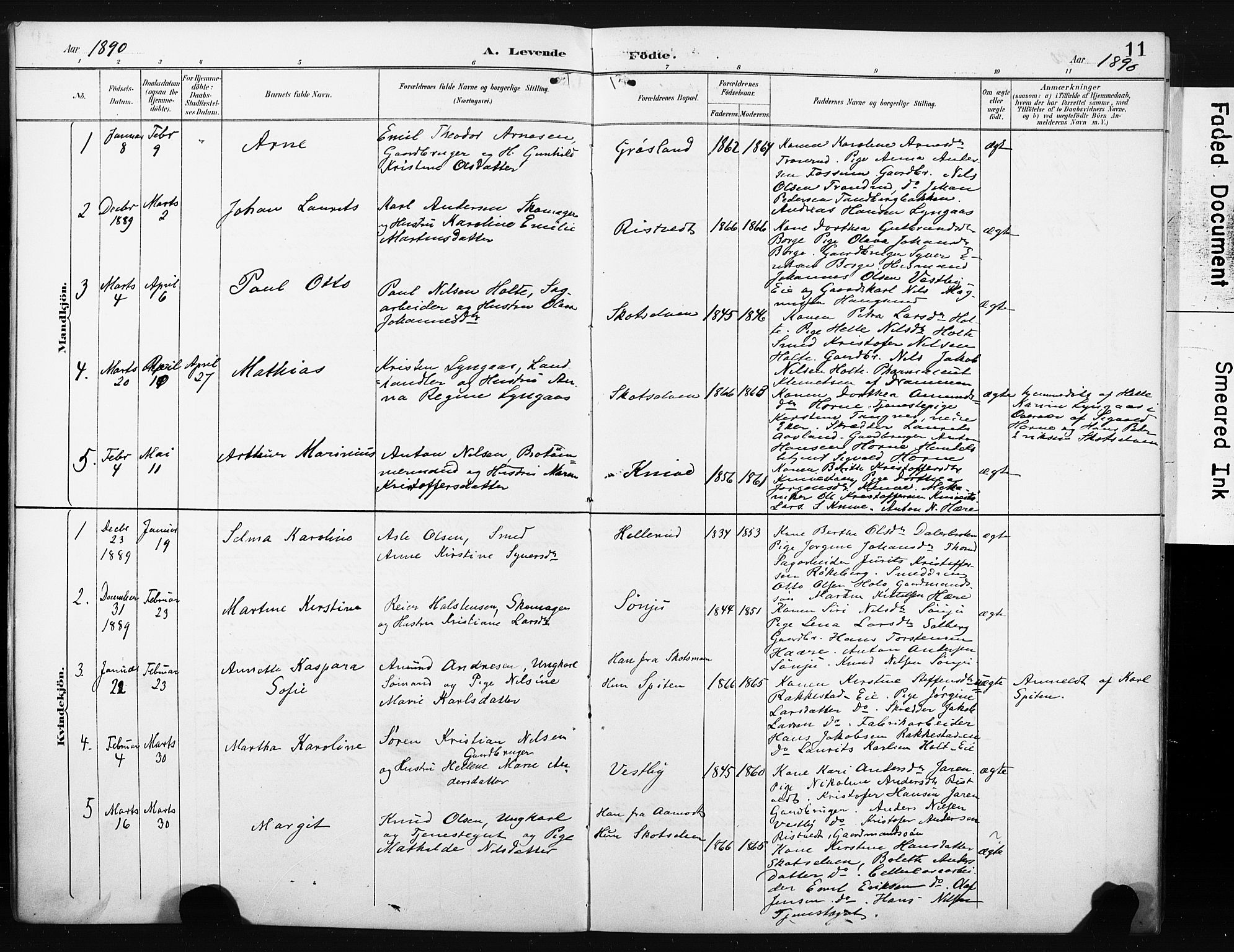 Eiker kirkebøker, AV/SAKO-A-4/F/Fc/L0002: Parish register (official) no. III 2, 1889-1897, p. 11