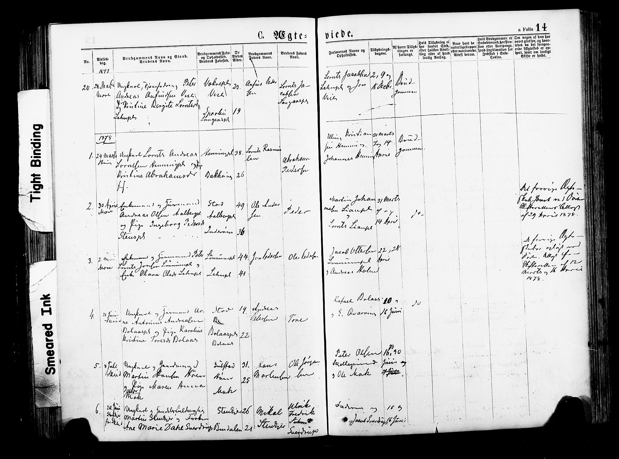 Ministerialprotokoller, klokkerbøker og fødselsregistre - Nord-Trøndelag, AV/SAT-A-1458/735/L0348: Parish register (official) no. 735A09 /1, 1873-1883, p. 14