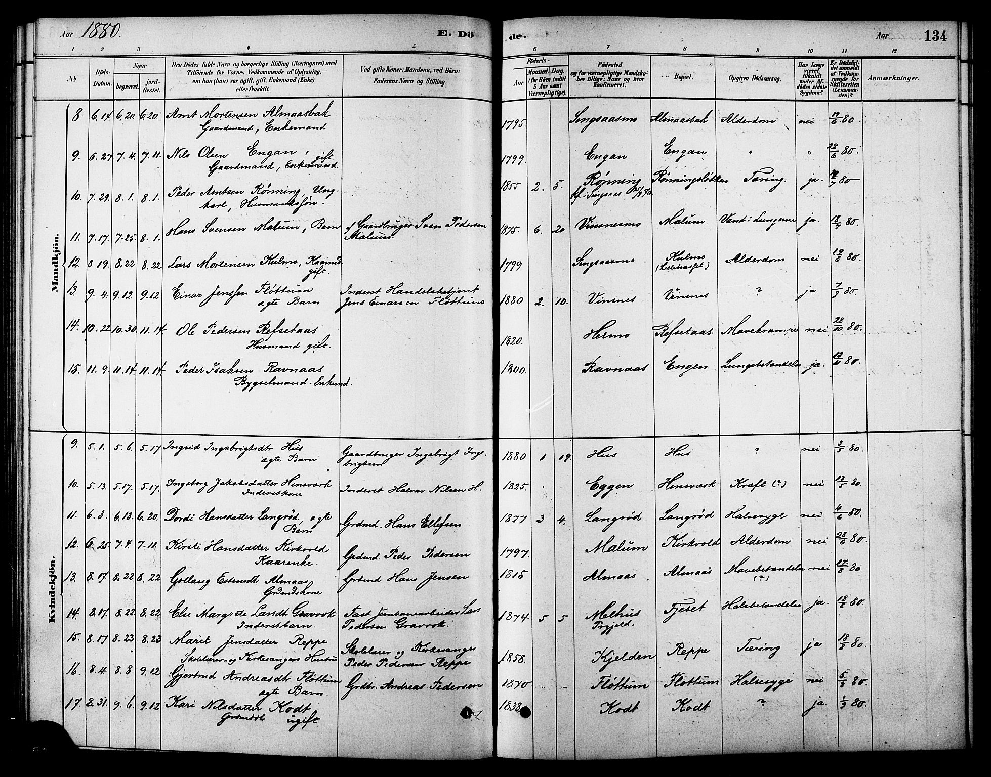 Ministerialprotokoller, klokkerbøker og fødselsregistre - Sør-Trøndelag, SAT/A-1456/688/L1024: Parish register (official) no. 688A01, 1879-1890, p. 134