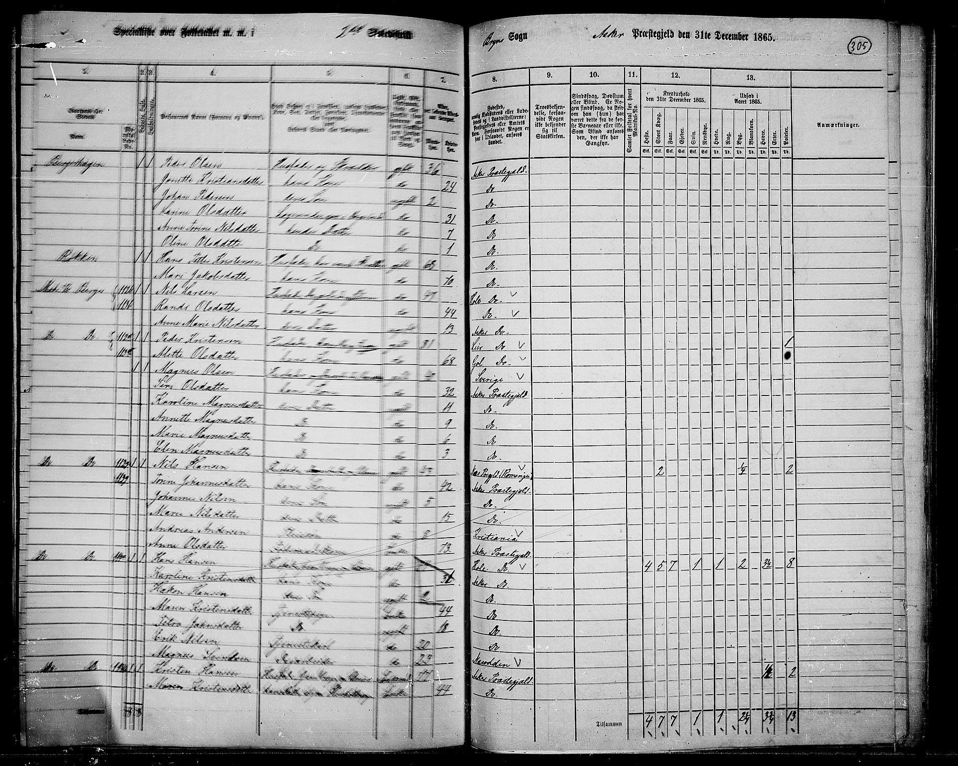 RA, 1865 census for Asker, 1865, p. 294