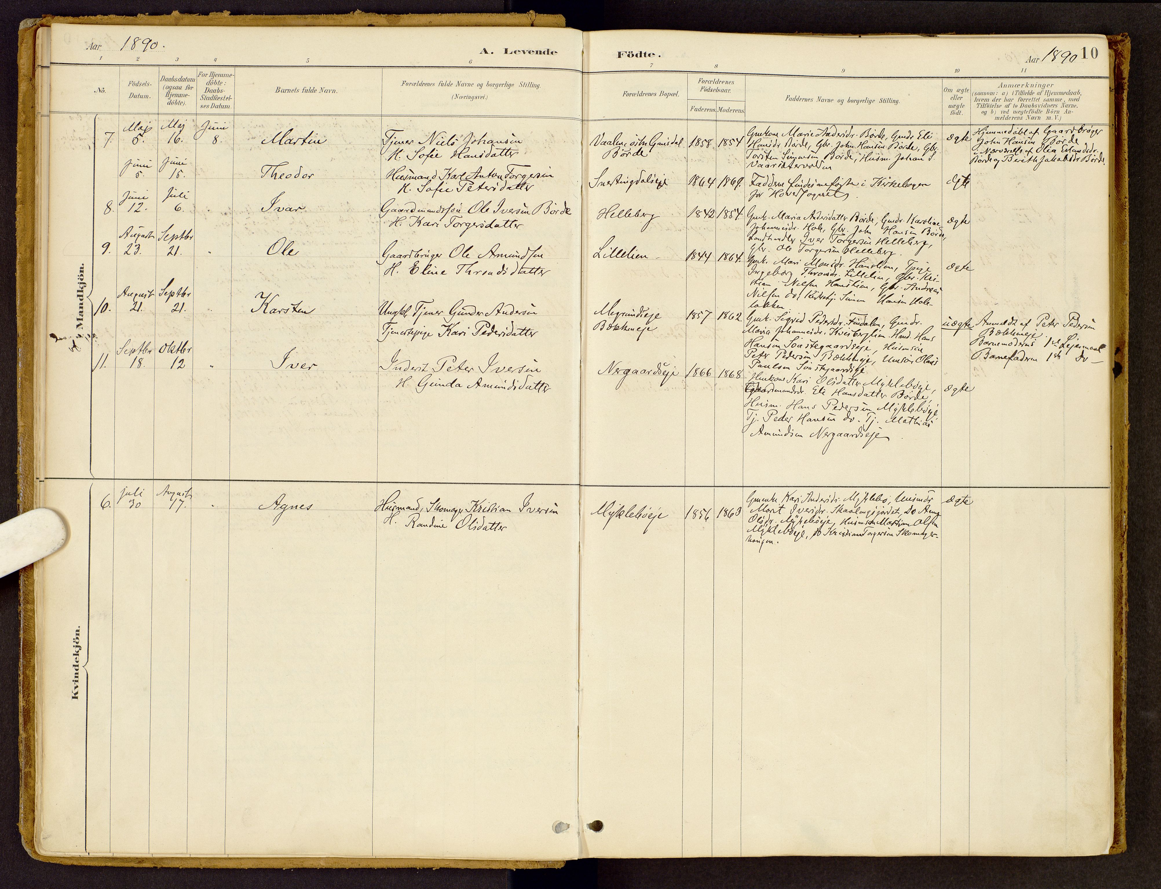 Vestre Gausdal prestekontor, AV/SAH-PREST-094/H/Ha/Haa/L0002: Parish register (official) no. 2, 1887-1918, p. 10