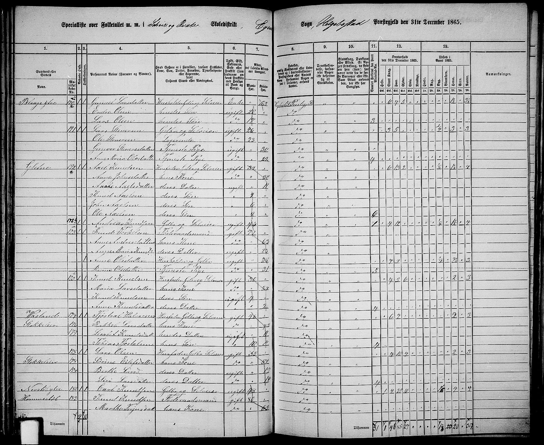 RA, 1865 census for Hægebostad, 1865, p. 63