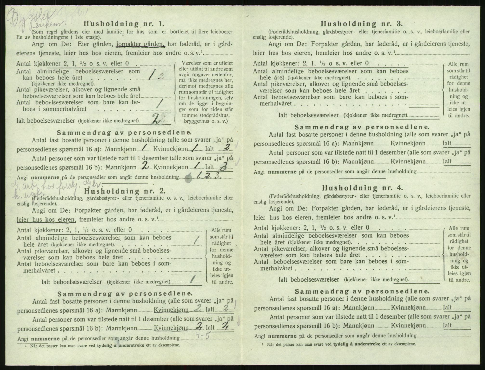 SAK, 1920 census for Valle, 1920, p. 226