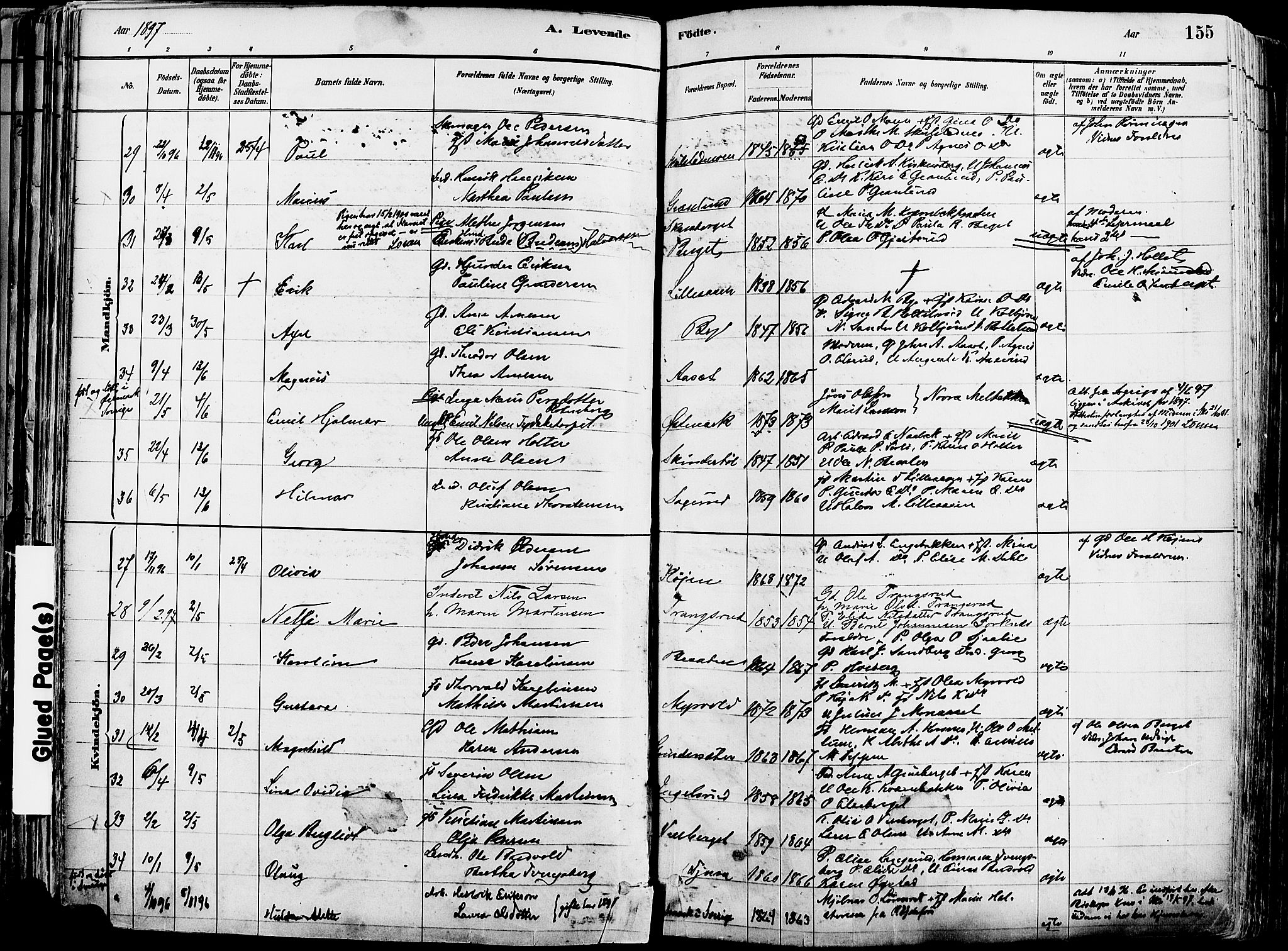 Grue prestekontor, AV/SAH-PREST-036/H/Ha/Haa/L0012: Parish register (official) no. 12, 1881-1897, p. 155