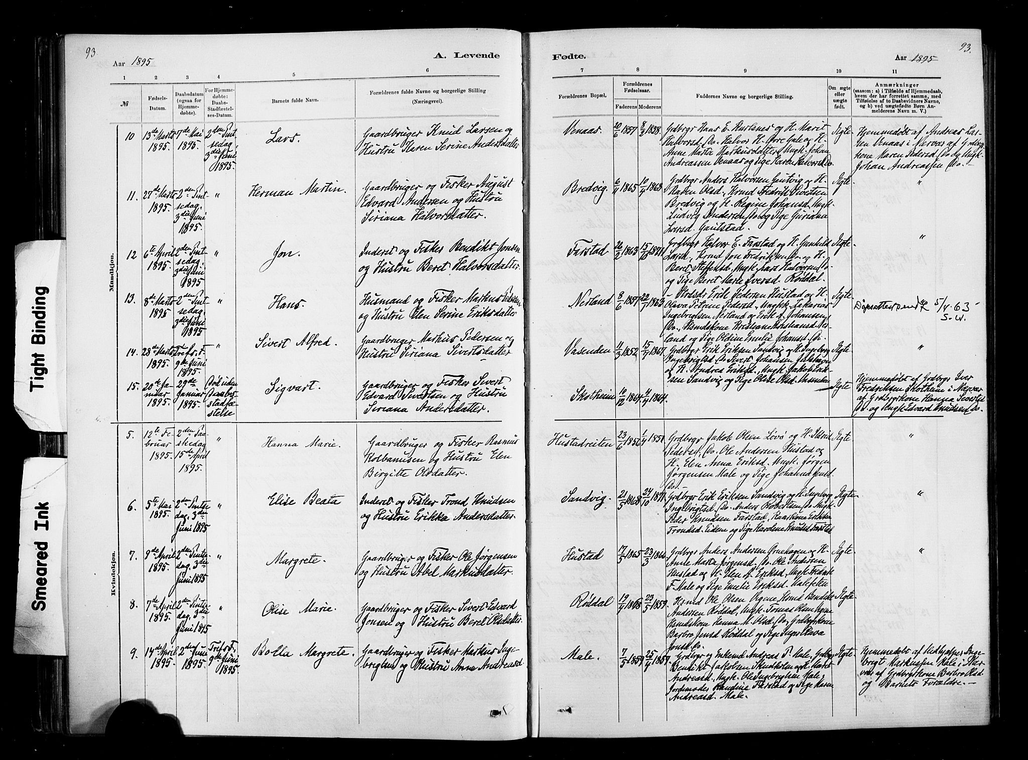 Ministerialprotokoller, klokkerbøker og fødselsregistre - Møre og Romsdal, SAT/A-1454/567/L0778: Parish register (official) no. 567A01, 1881-1903, p. 93